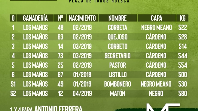 huesca orden 10 agosto