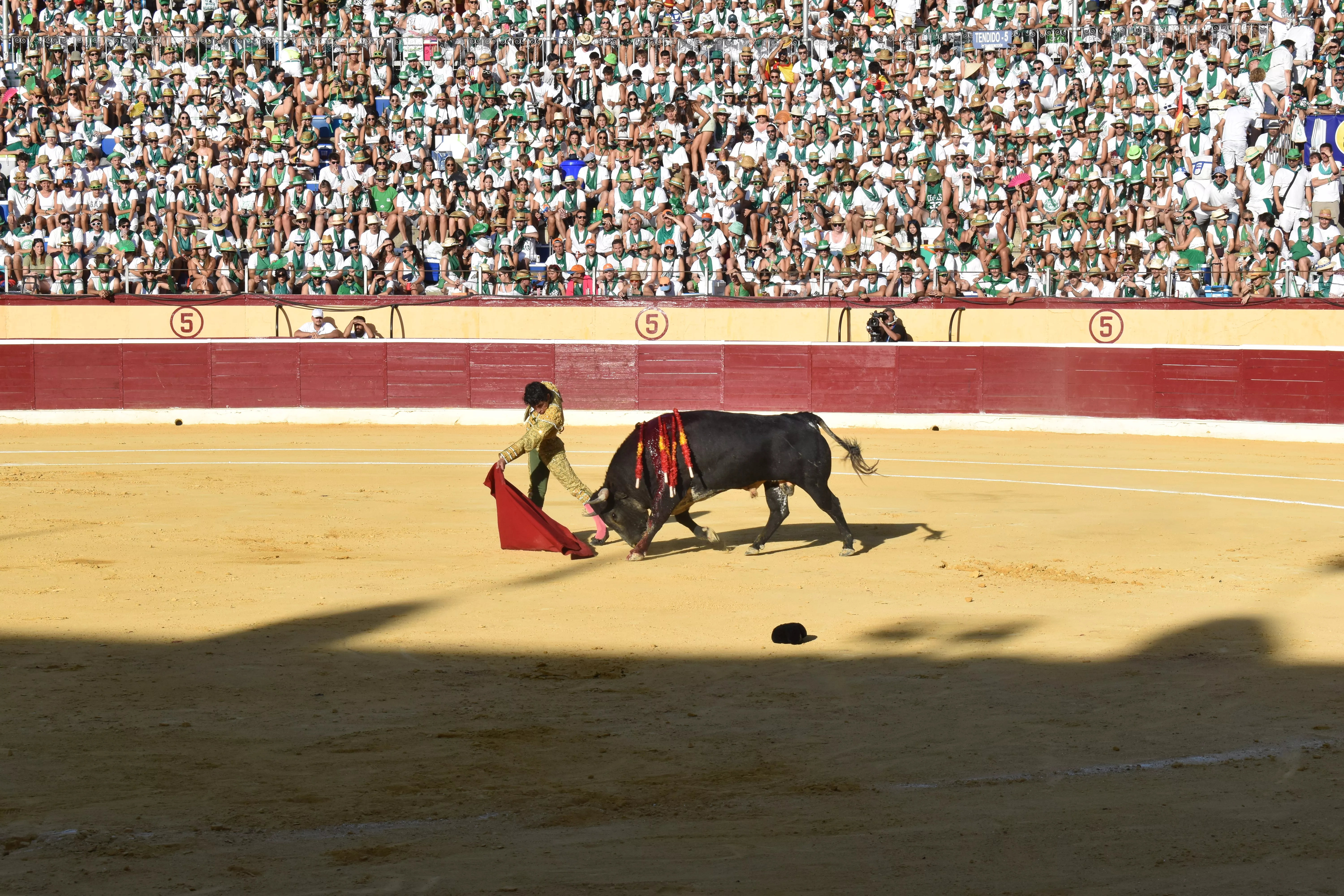 Primera corrida de toros de la Feria de La Albahaca. Foto: Carlos Jalle