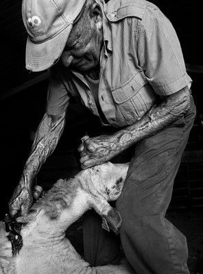 Primer premio del Certamen Lucien Briet: Las raíces del Sobrarbe