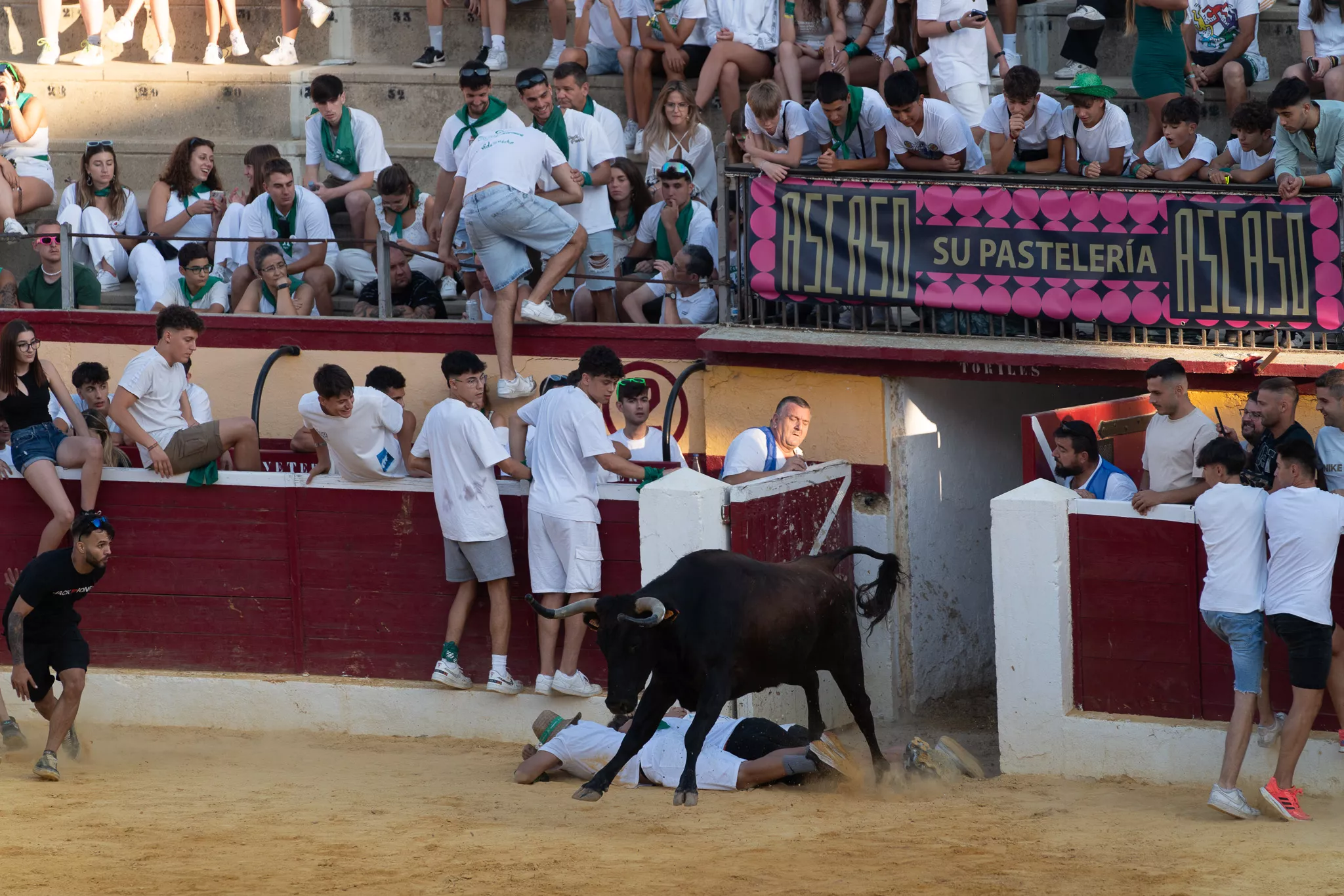 Primer día de vaquillas en Huesca. Foto José Antonio Terrón