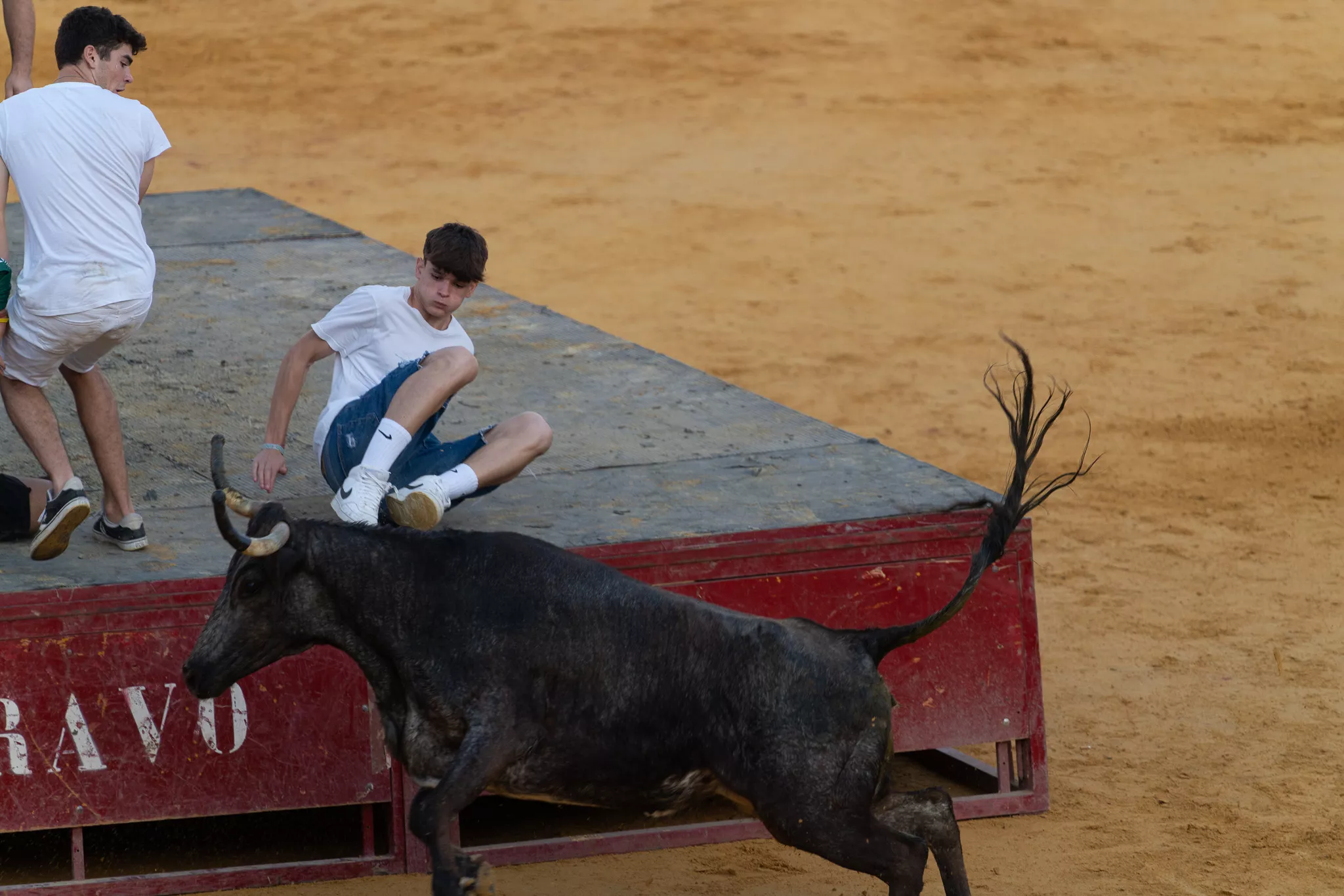 Primer día de vaquillas en Huesca. Foto José Antonio Terrón