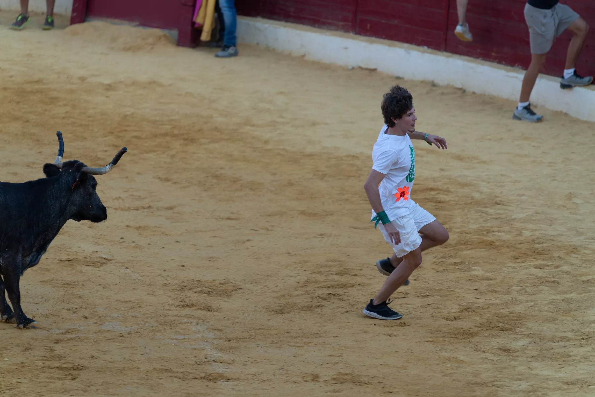 Primer día de vaquillas en Huesca. Foto José Antonio Terrón
