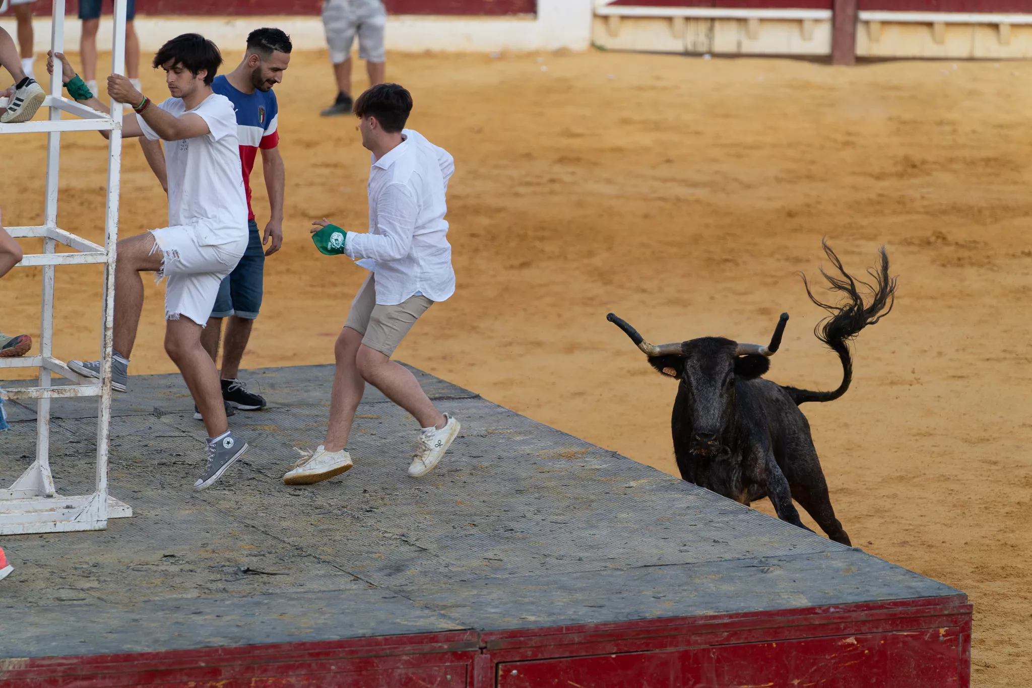 Primer día de vaquillas en Huesca. Foto José Antonio Terrón