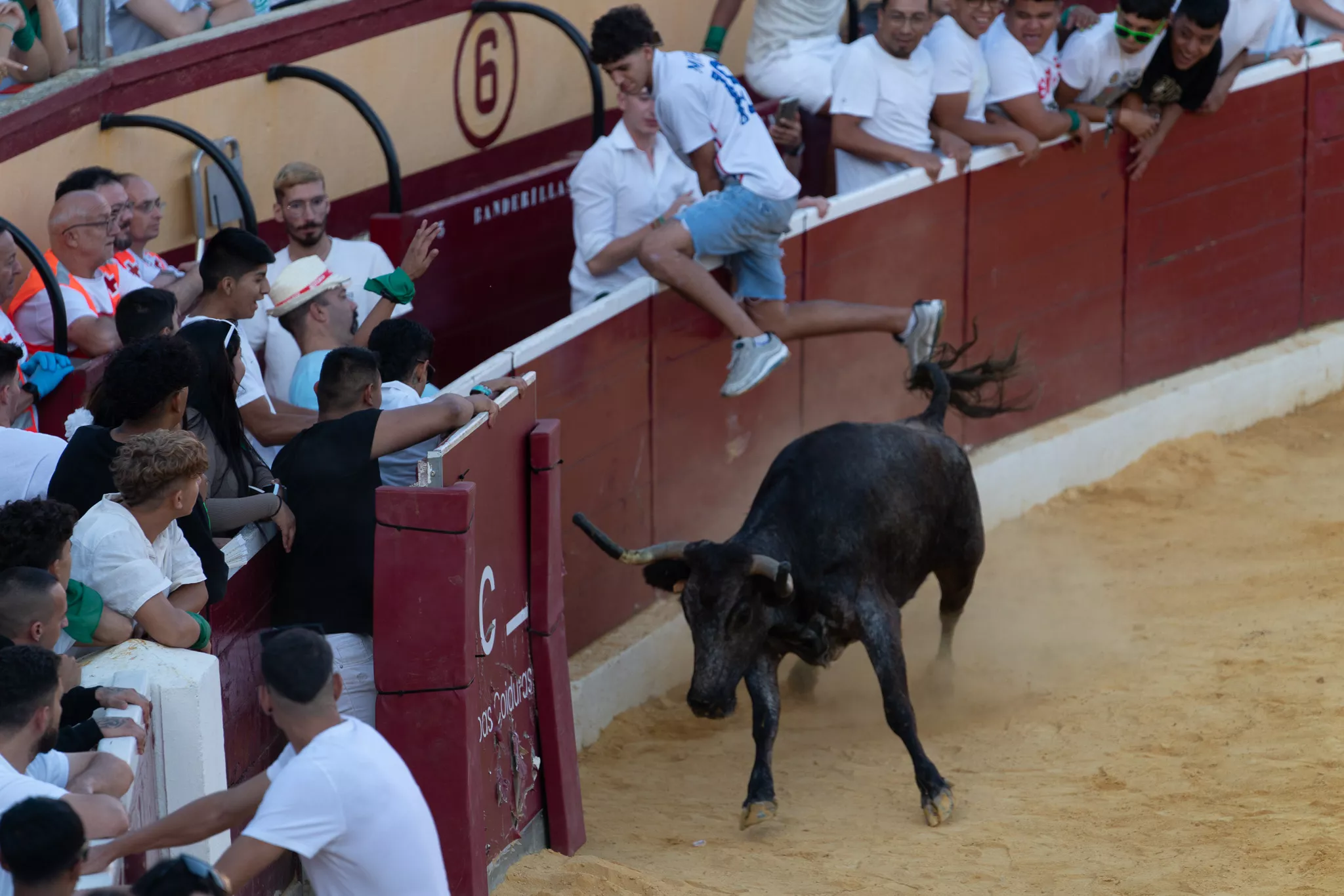 Primer día de vaquillas en Huesca. Foto José Antonio Terrón