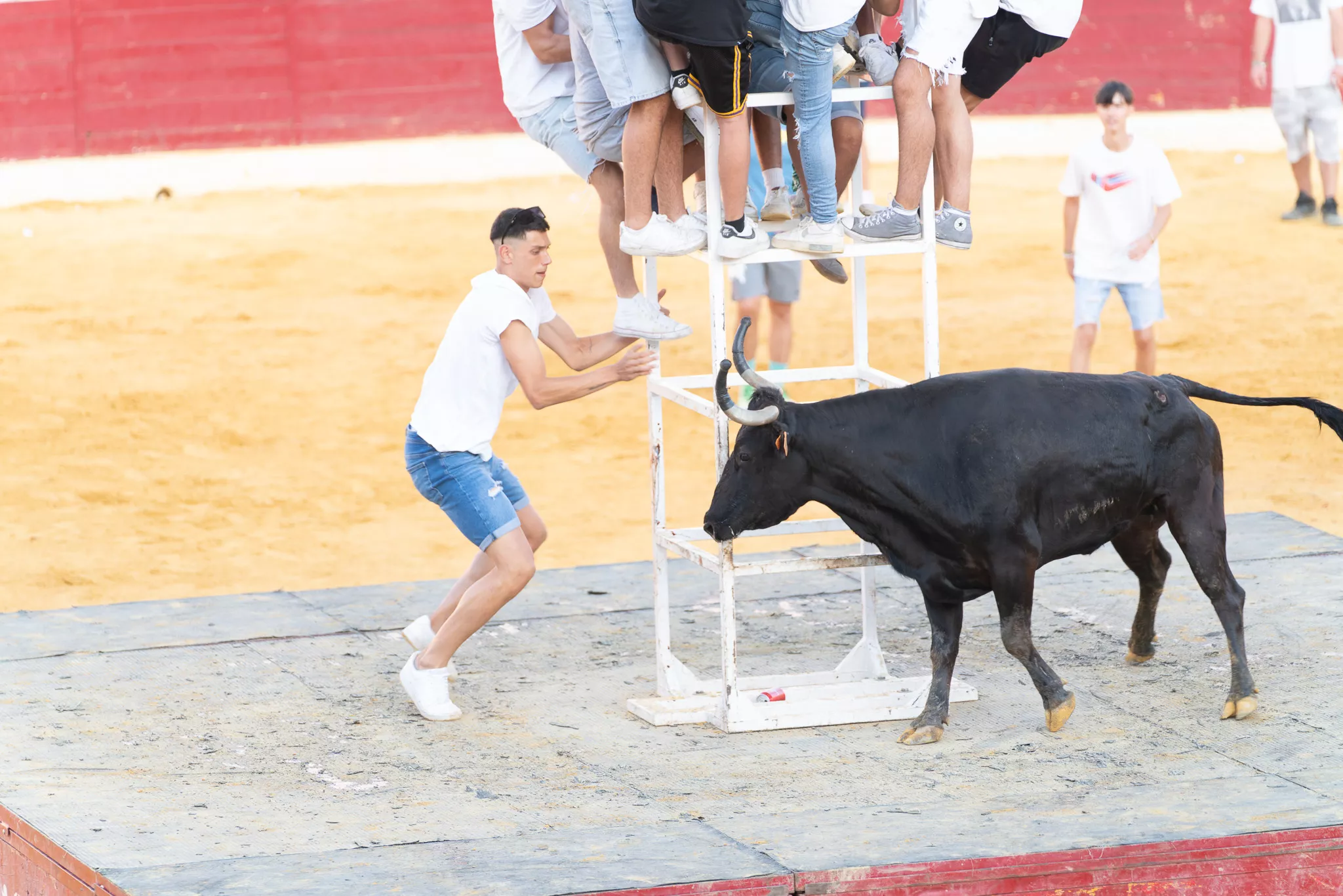 Primer día de vaquillas en Huesca. Foto José Antonio Terrón