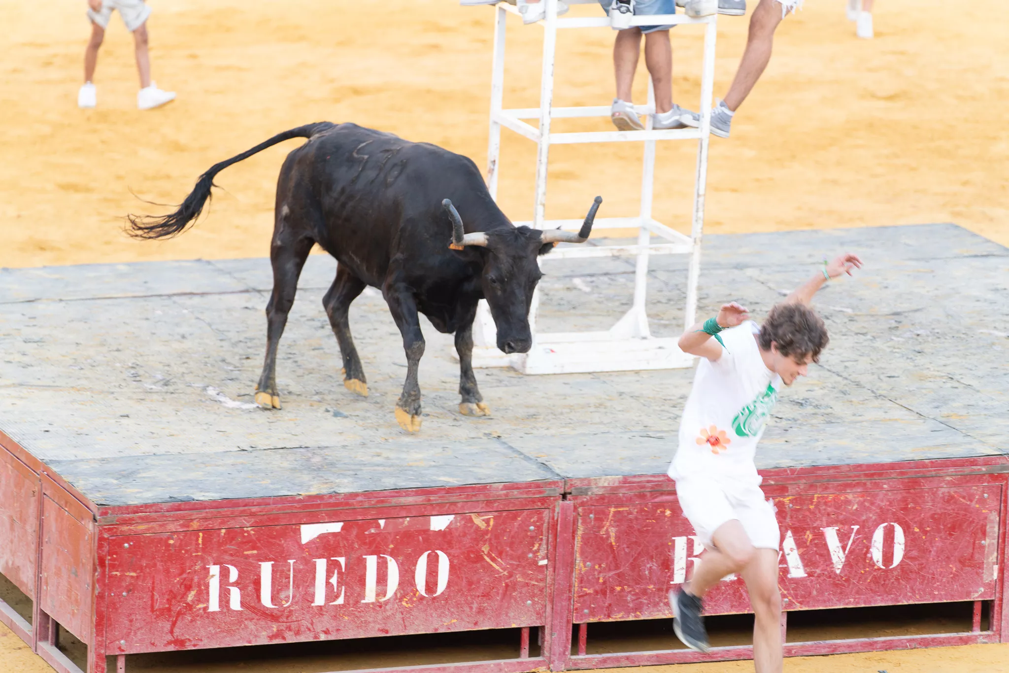 Primer día de vaquillas en Huesca. Foto José Antonio Terrón