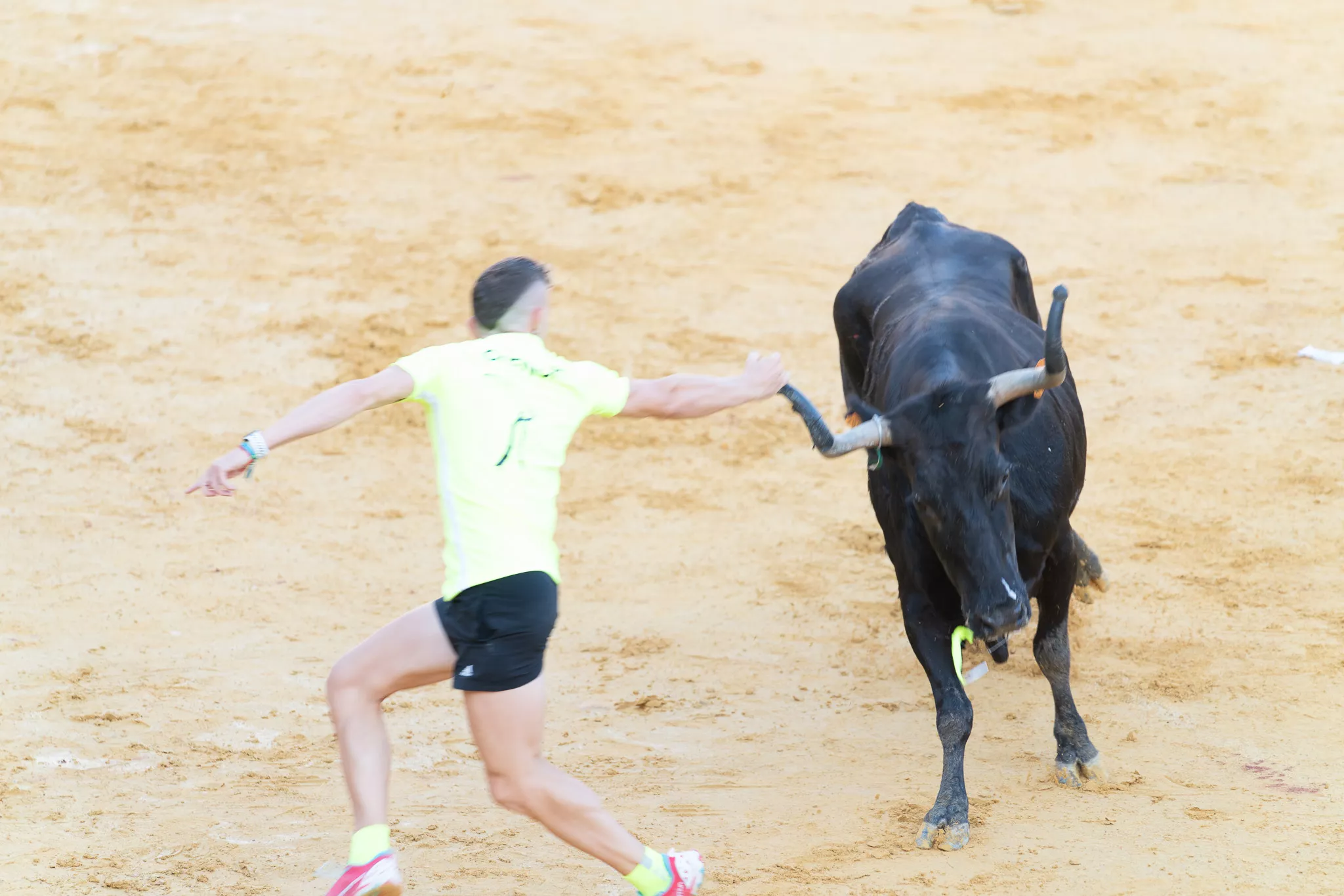 Primer día de vaquillas en Huesca. Foto José Antonio Terrón