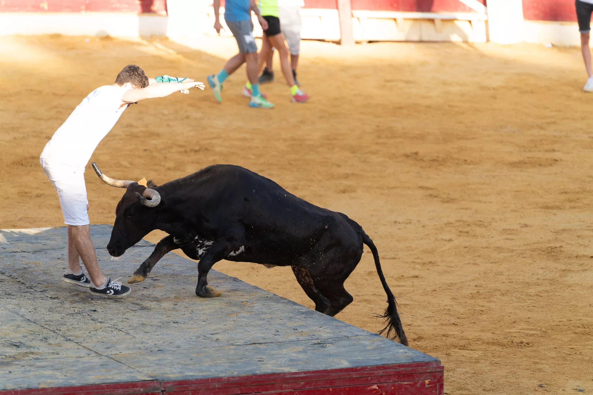 Primer día de vaquillas en Huesca. Foto José Antonio Terrón
