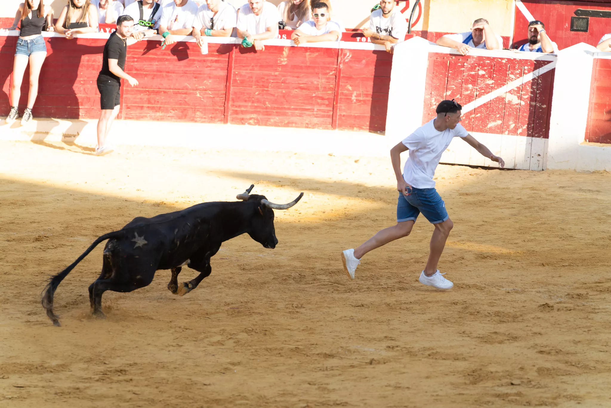 Primer día de vaquillas en Huesca. Foto José Antonio Terrón