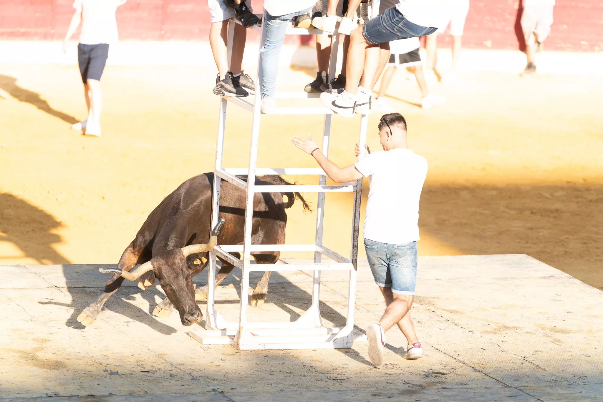 Primer día de vaquillas en Huesca. Foto José Antonio Terrón