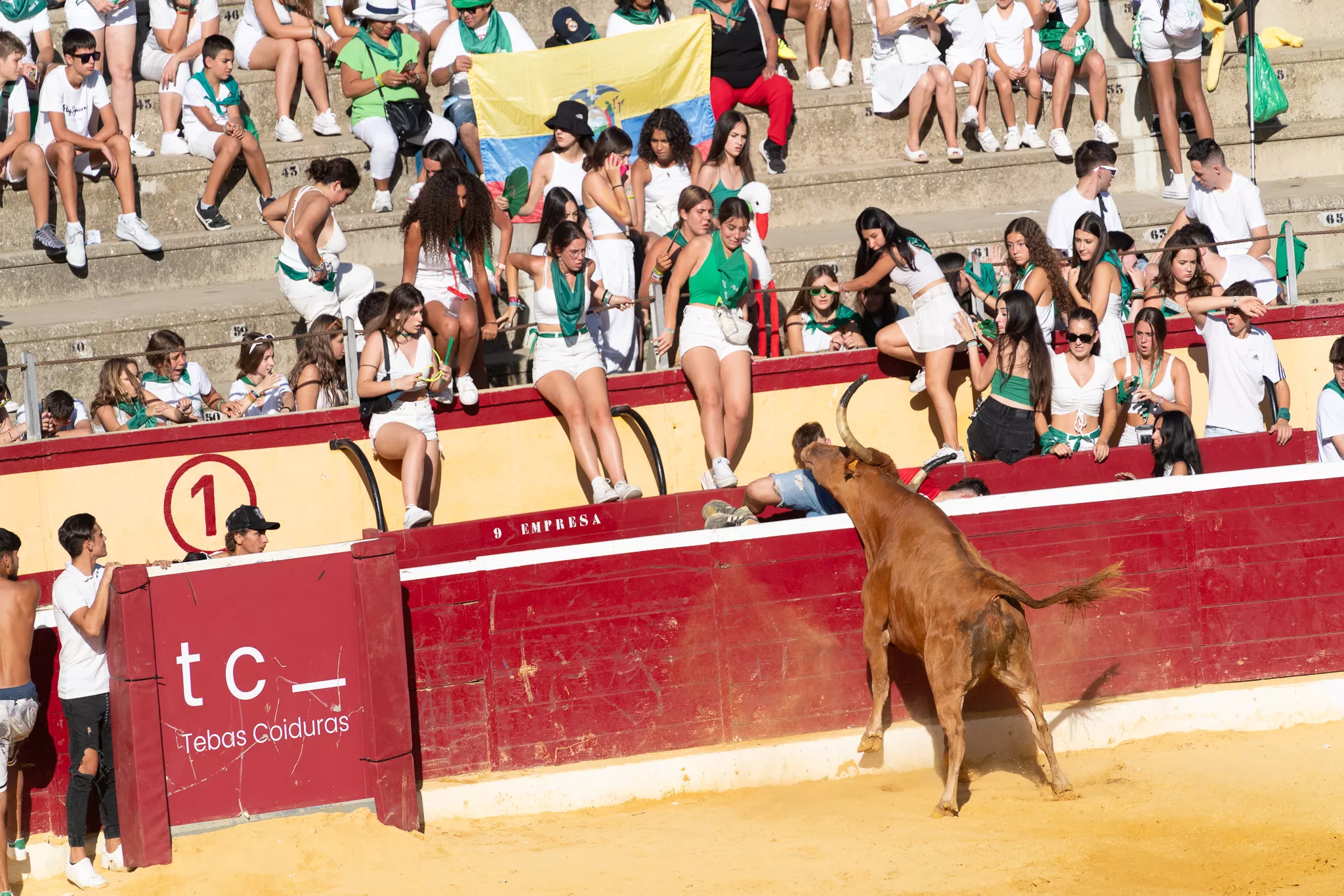 Primer día de vaquillas en Huesca. Foto José Antonio Terrón