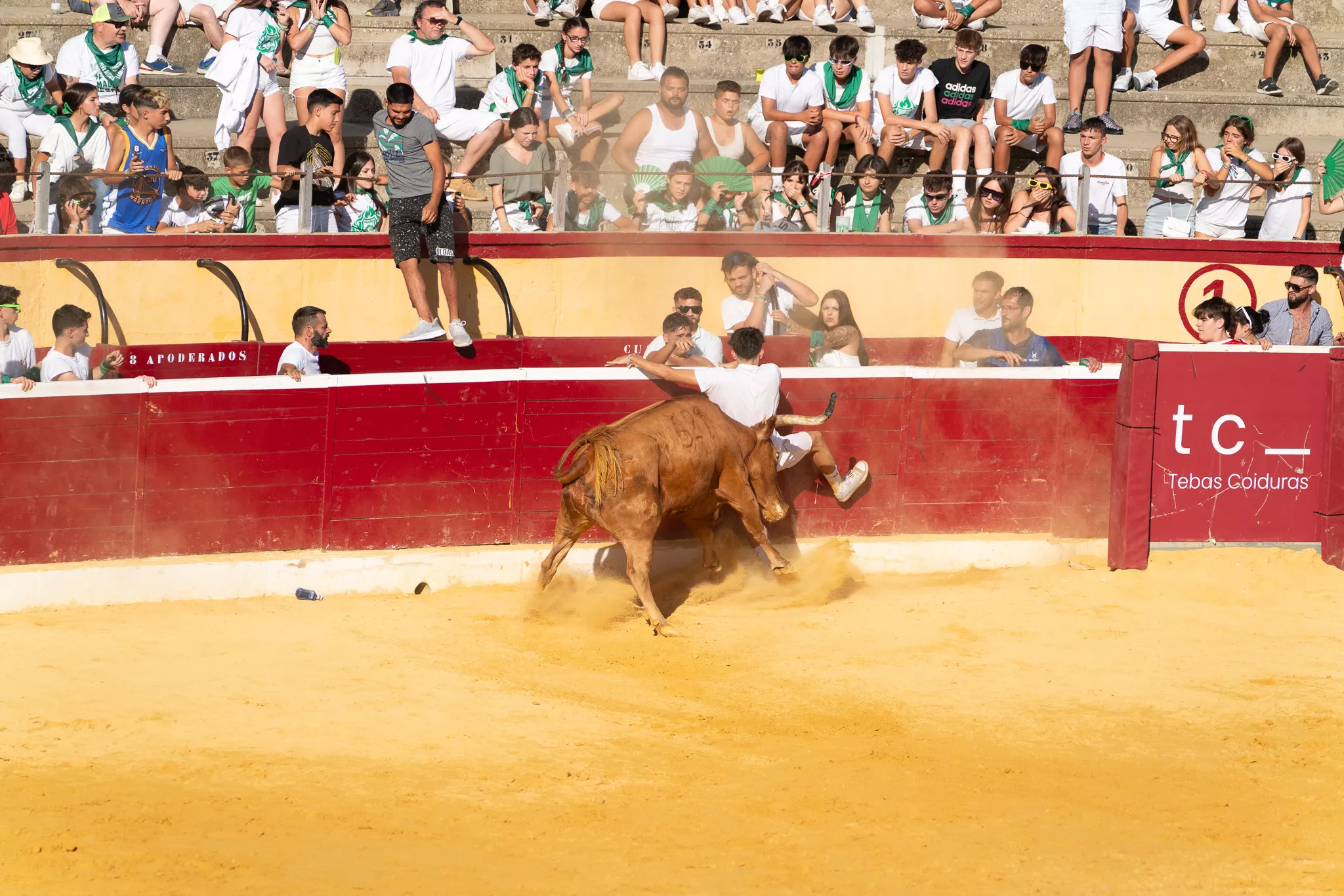 Primer día de vaquillas en Huesca. Foto José Antonio Terrón