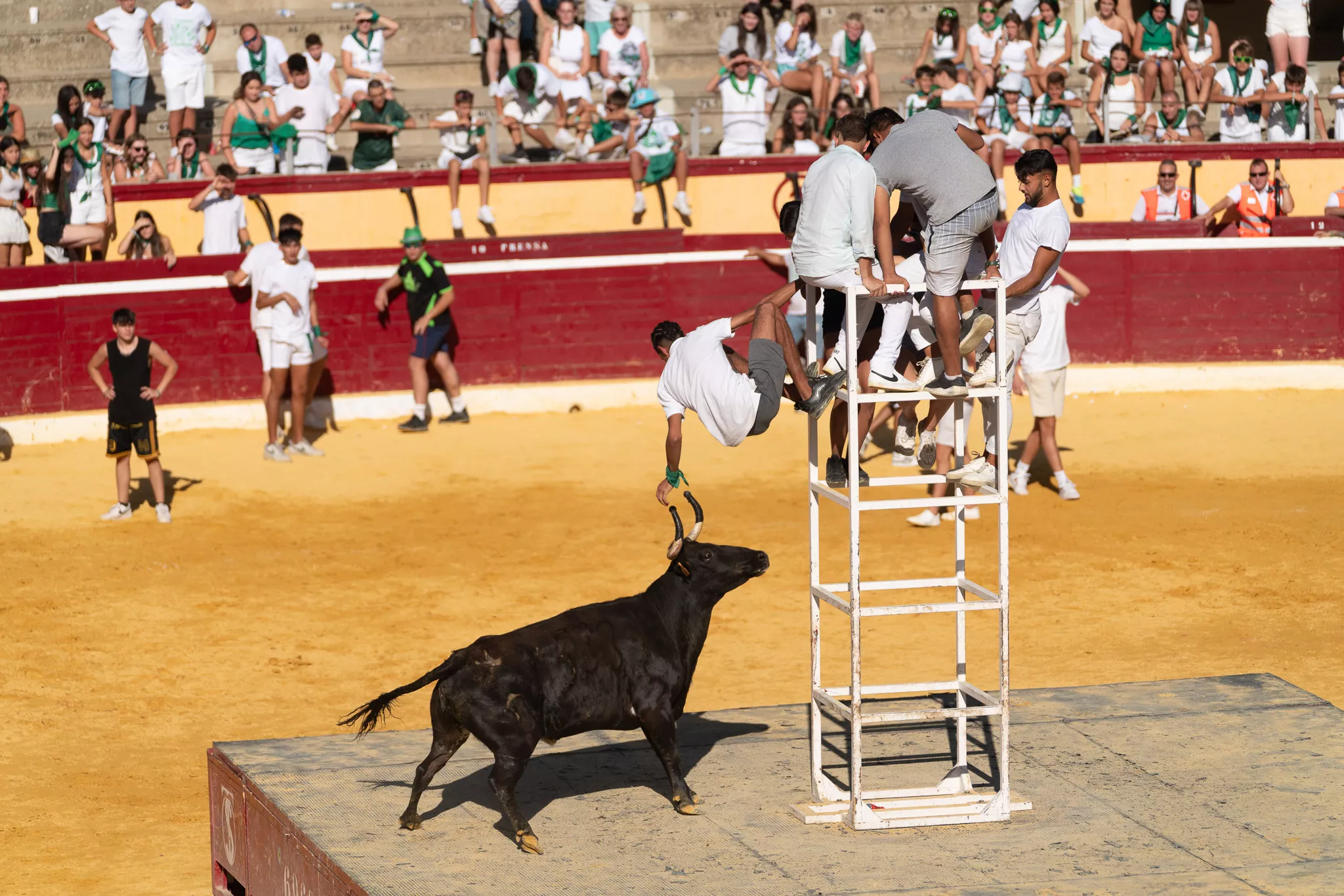 Primer día de vaquillas en Huesca. Foto José Antonio Terrón