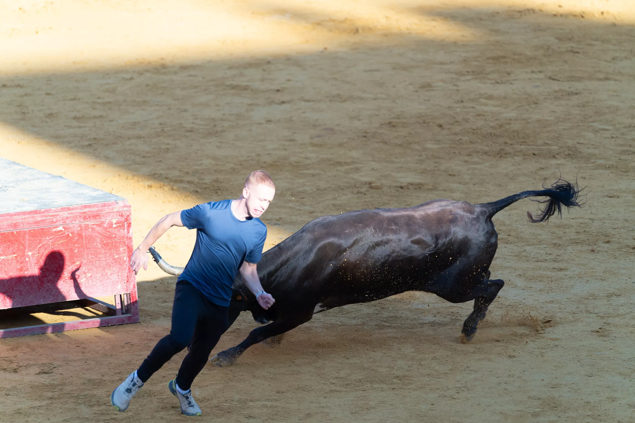 Primer día de vaquillas en Huesca. Foto José Antonio Terrón