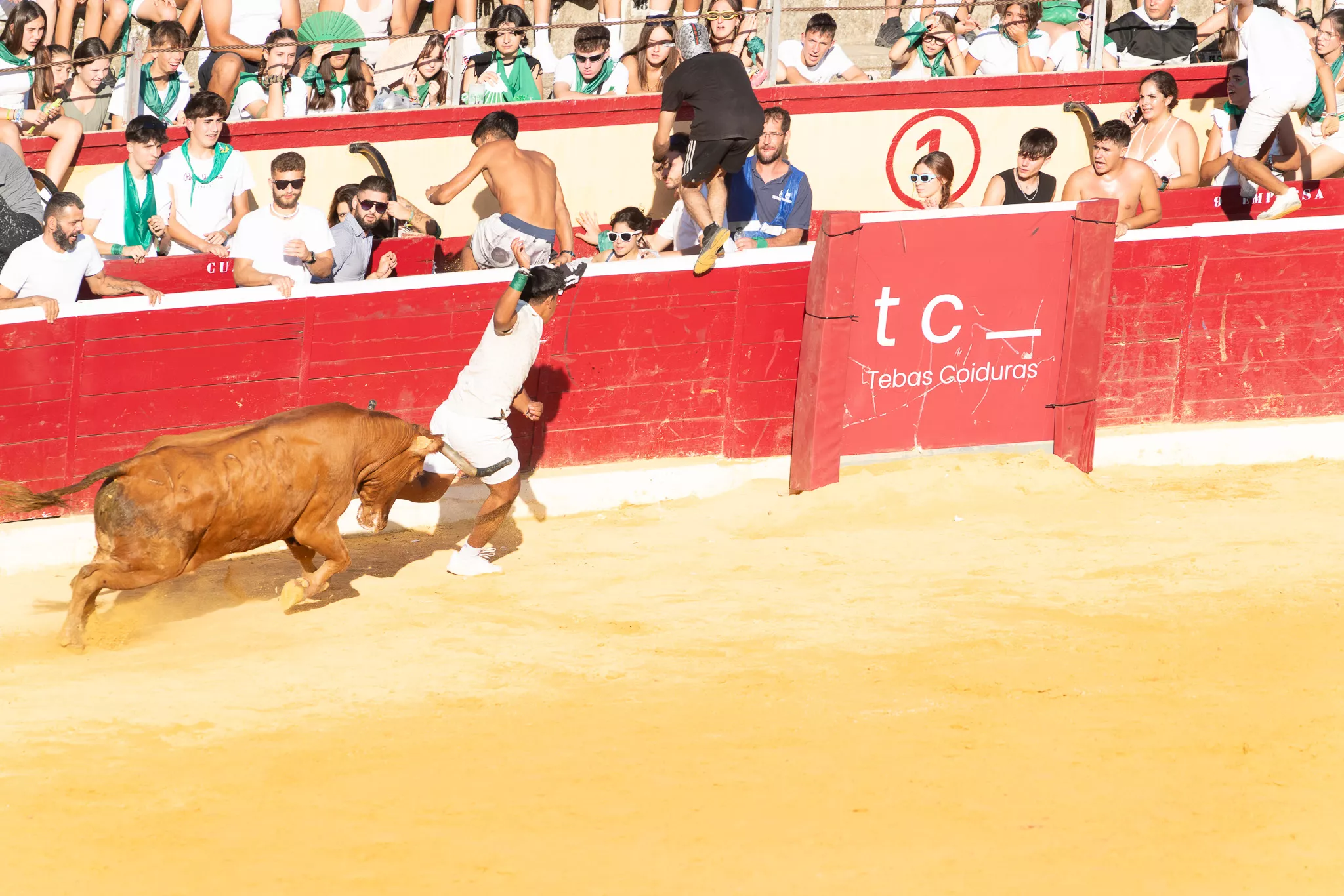 Primer día de vaquillas en Huesca. Foto José Antonio Terrón