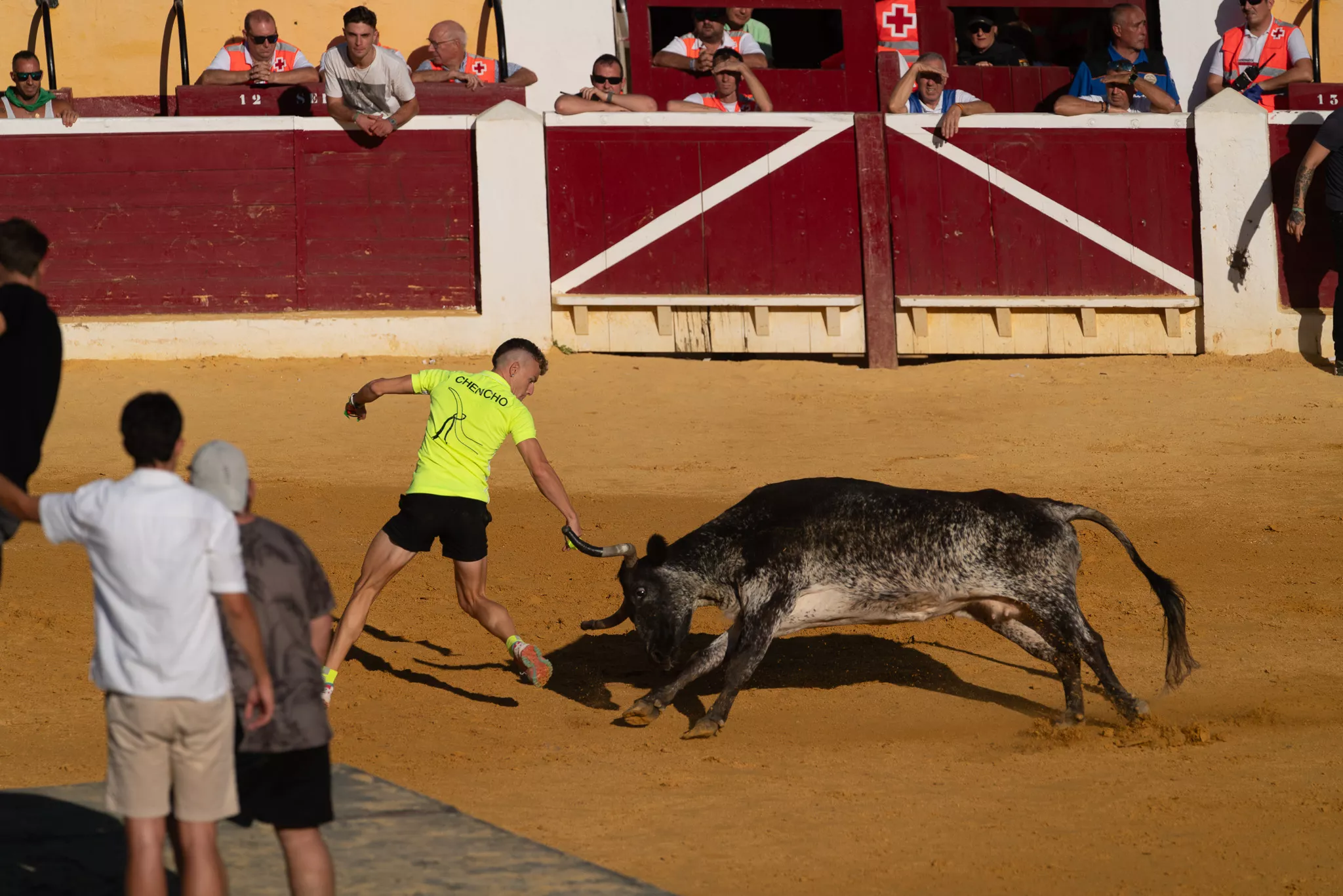 Primer día de vaquillas en Huesca. Foto José Antonio Terrón