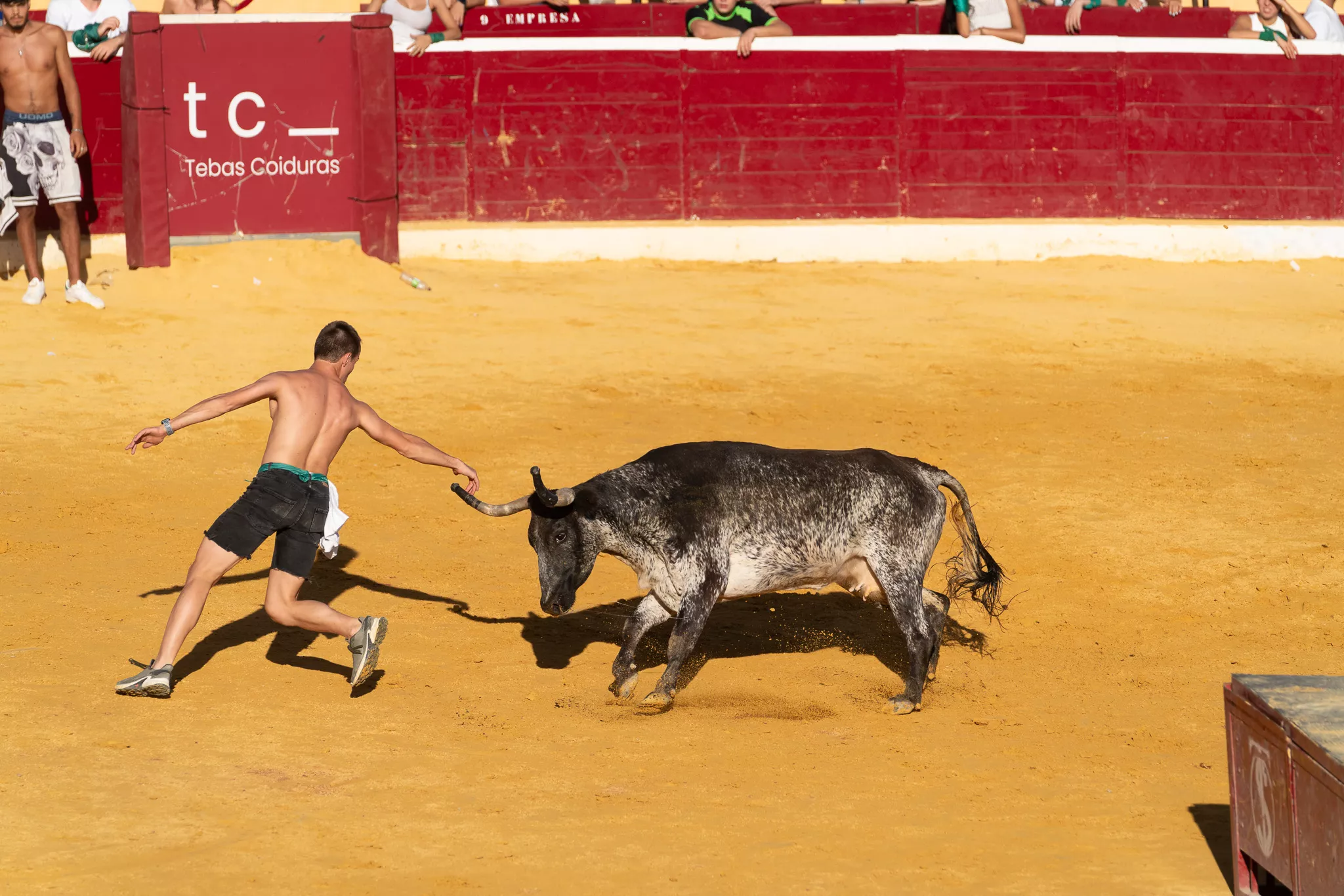 Primer día de vaquillas en Huesca. Foto José Antonio Terrón