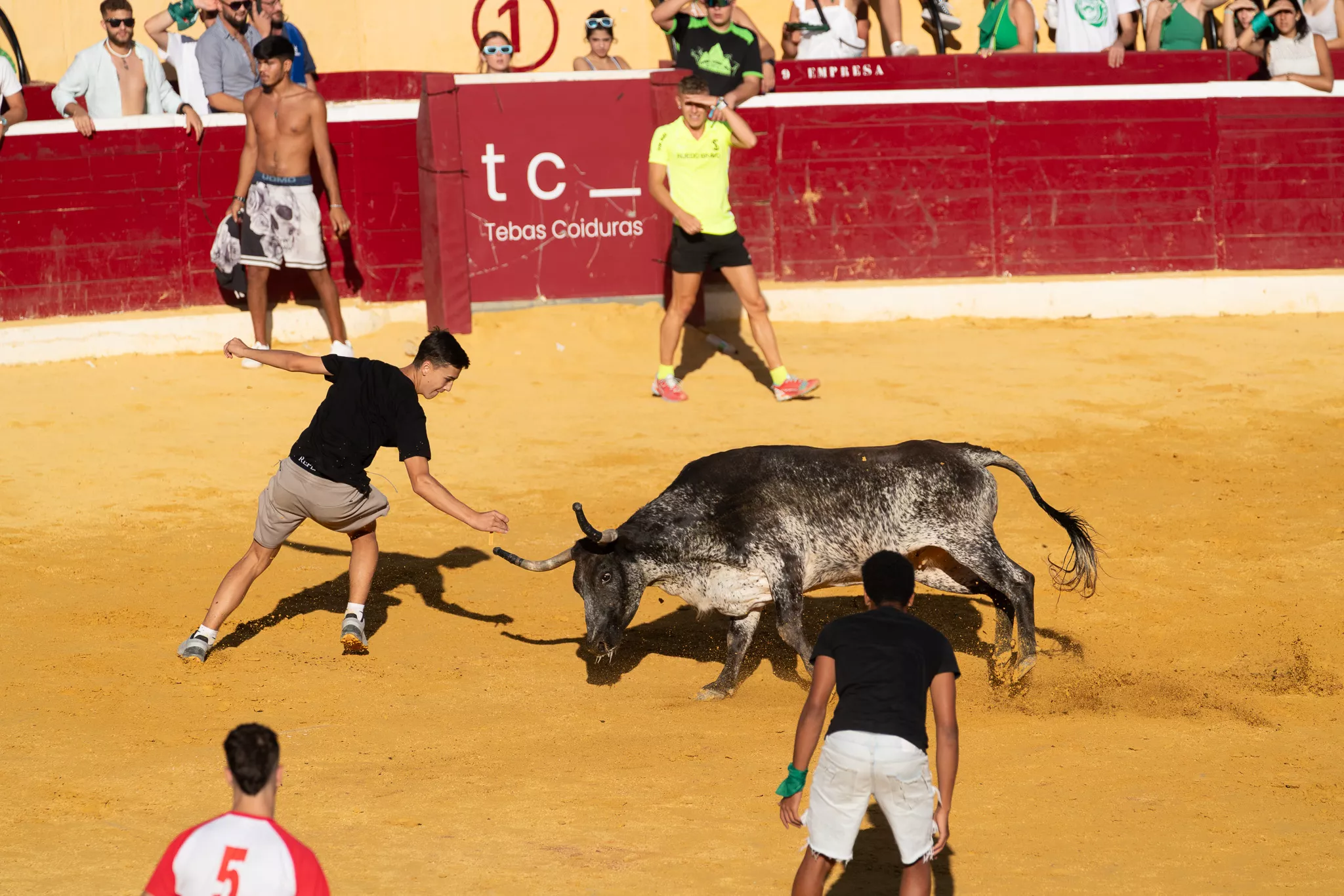 Primer día de vaquillas en Huesca. Foto José Antonio Terrón