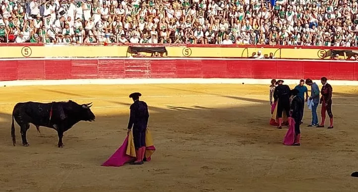 El Fandi, atendido tras sufrir una voltereta