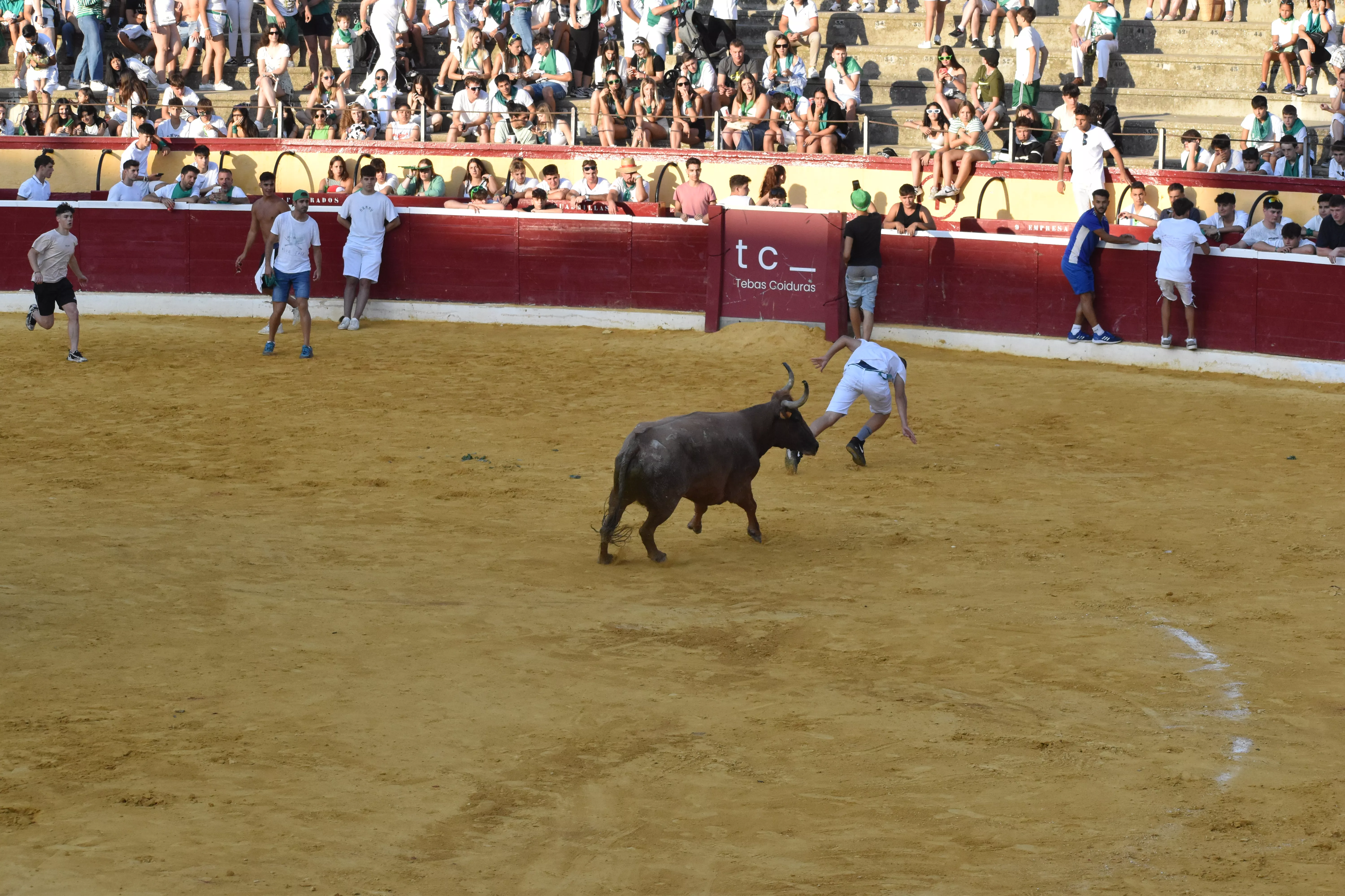 Emoción en las vaquillas. Foto Carlos Jalle