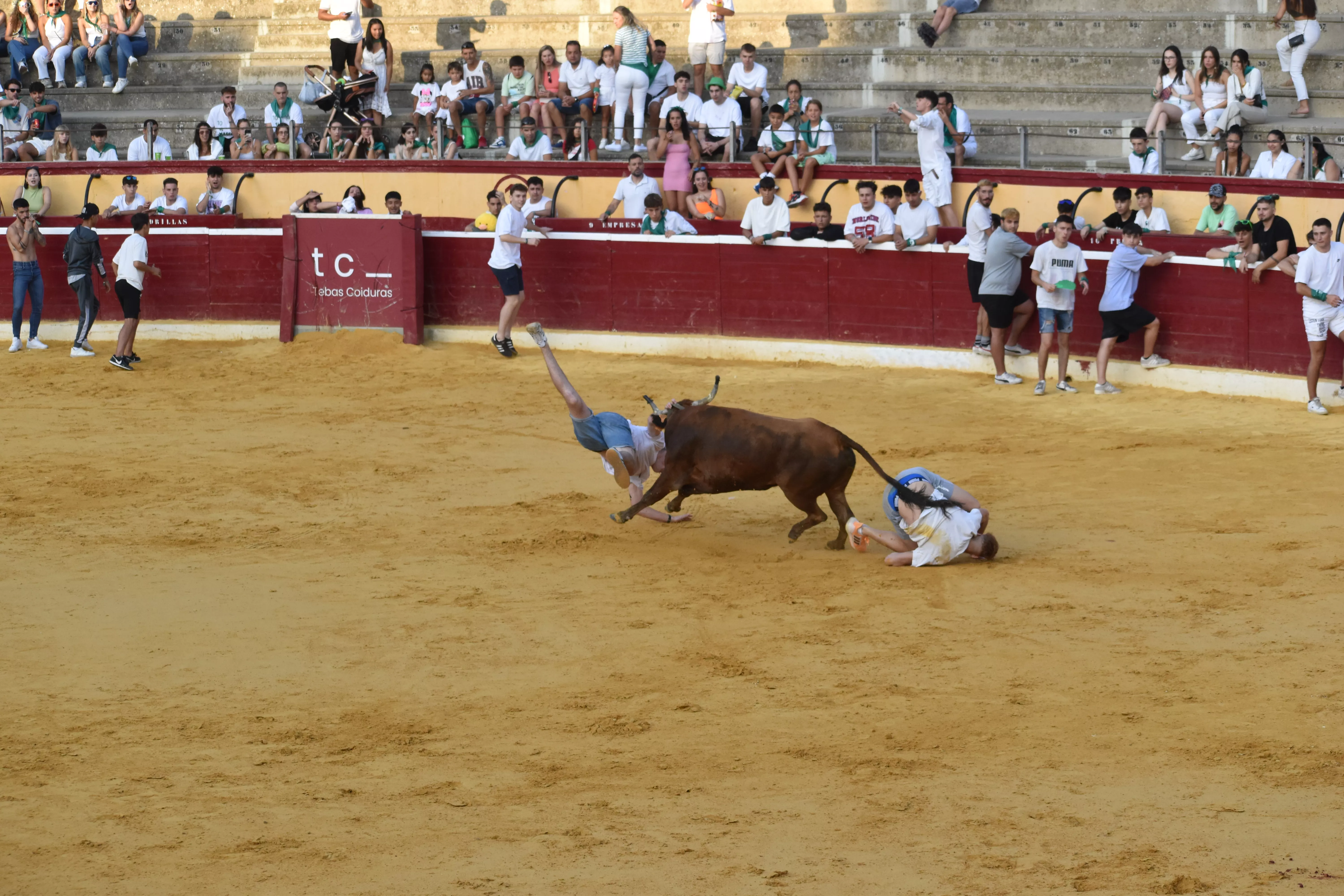 Vaquillas del día 13 de agosto. Foto Carlos Jalle