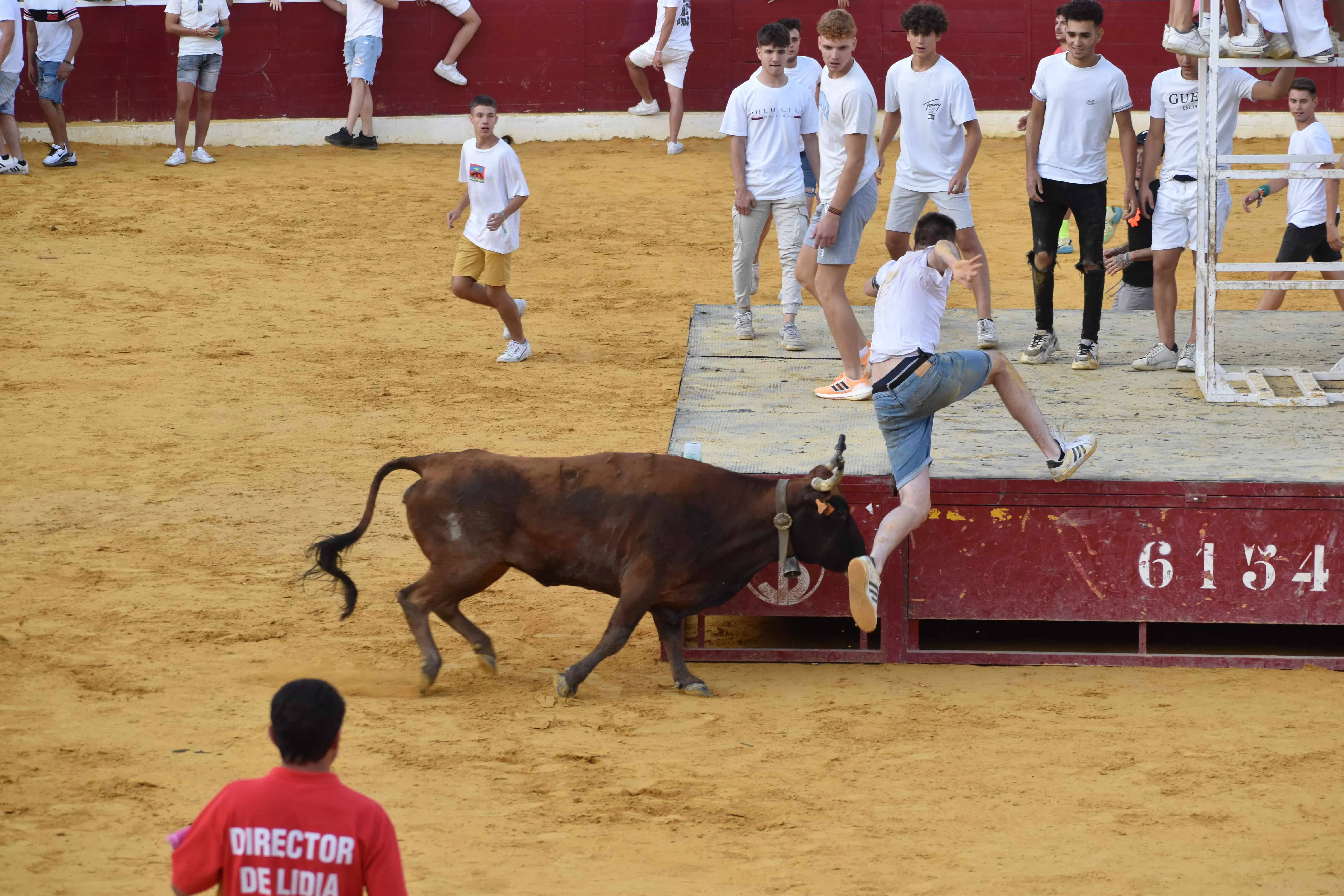 Vaquillas del día 13 de agosto. Foto Carlos Jalle