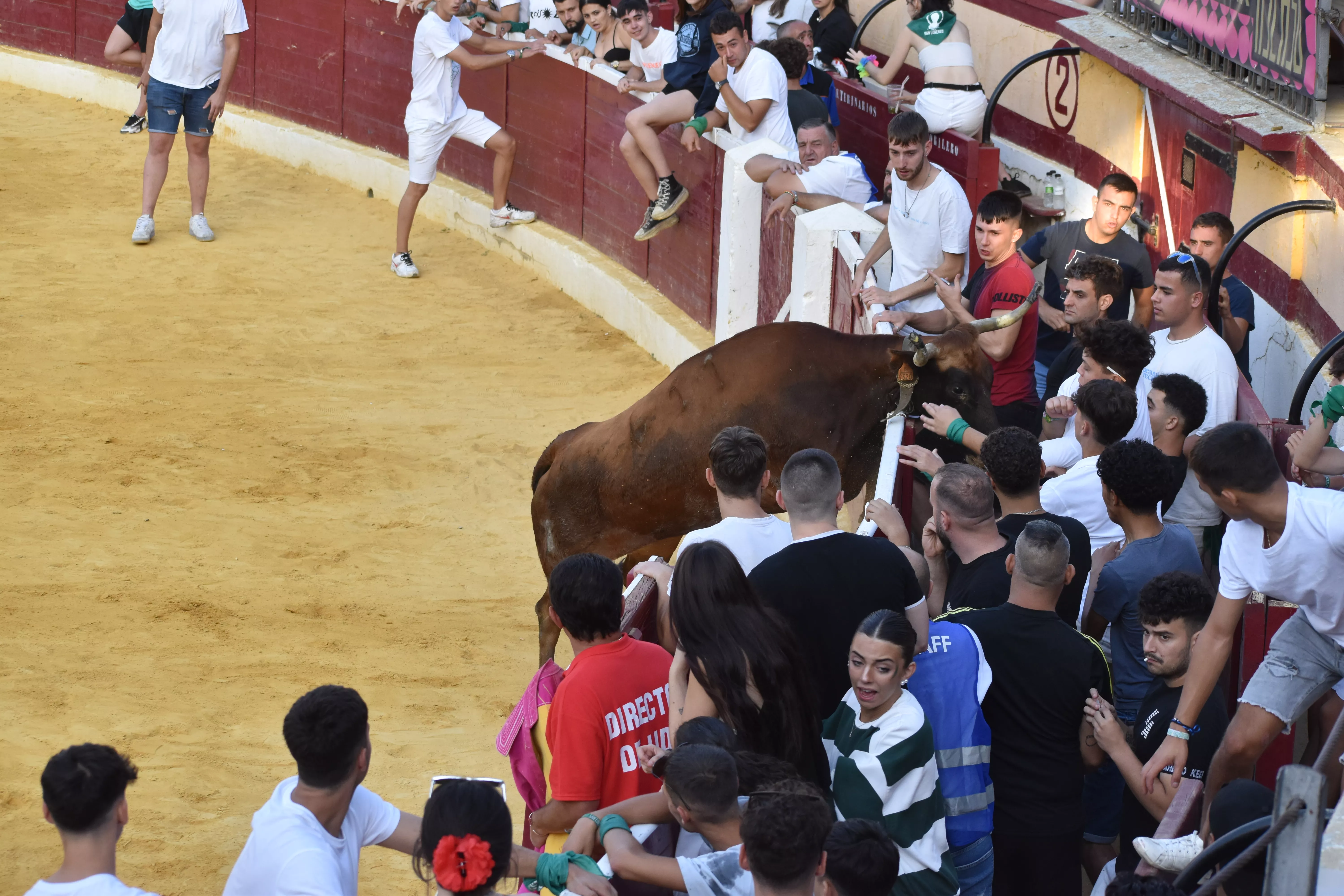 Vaquillas del día 13 de agosto. Foto Carlos Jalle