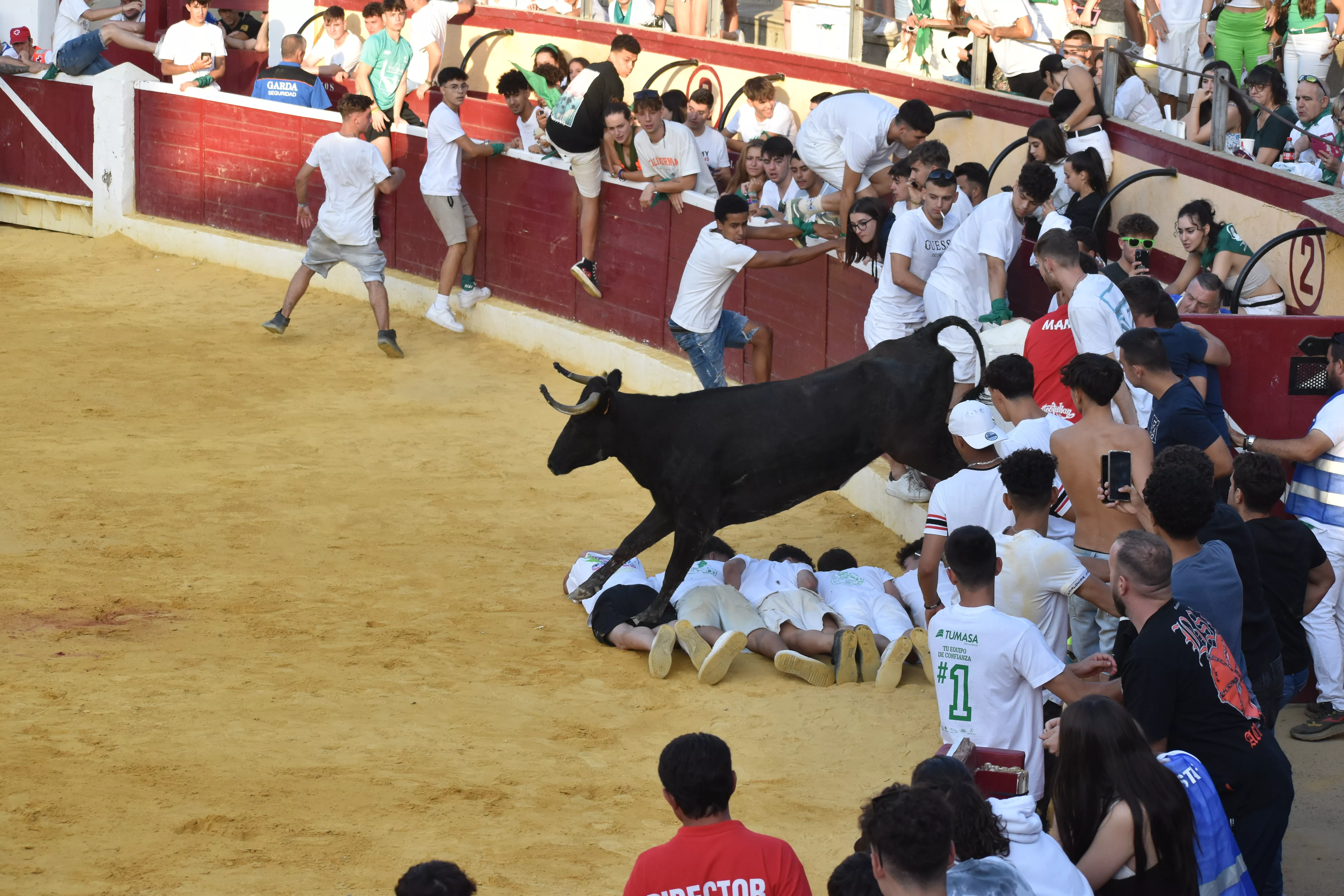 Vaquillas del día 13 de agosto. Foto Carlos Jalle