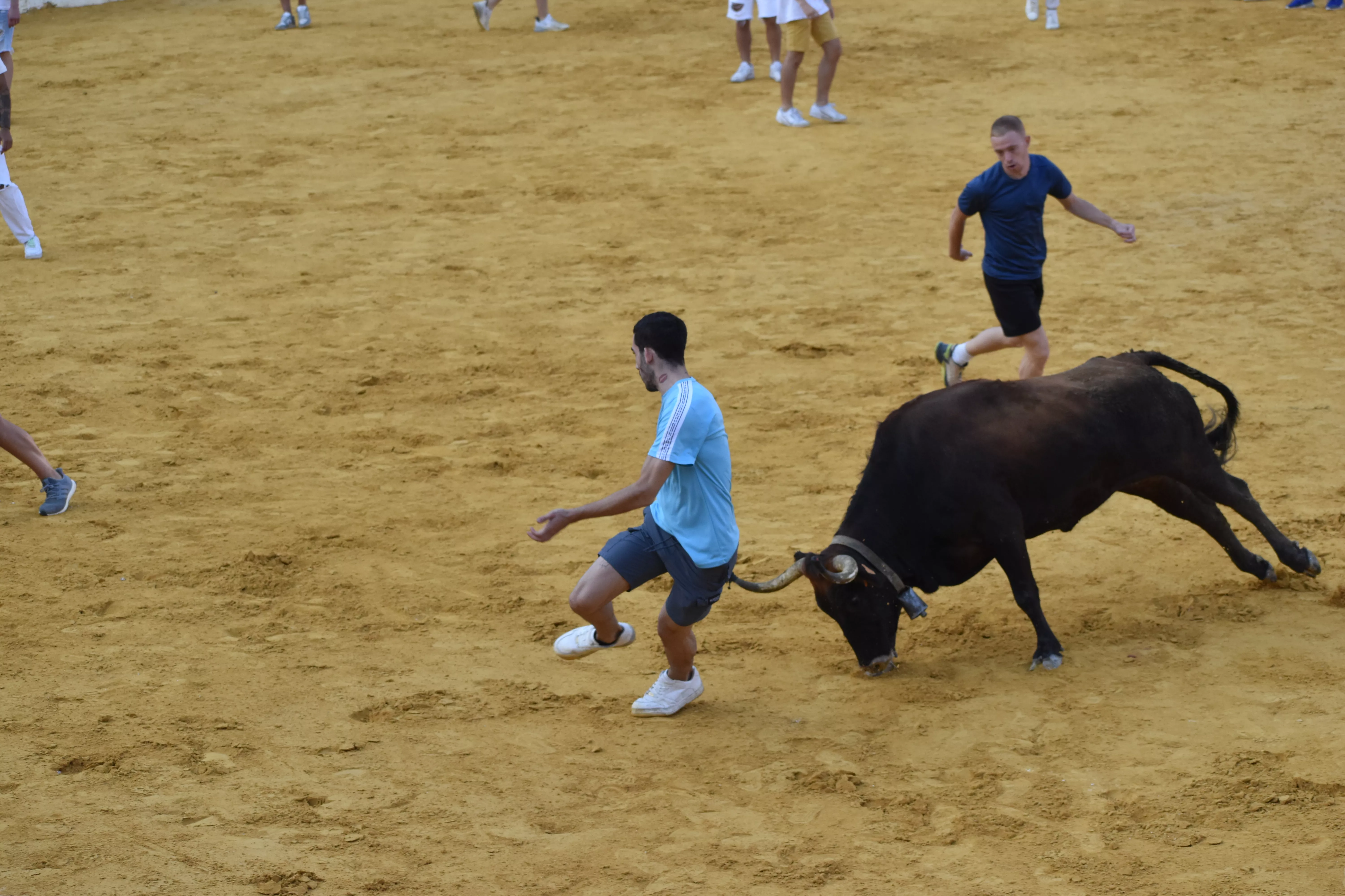 Vaquillas del día 13 de agosto. Foto Carlos Jalle