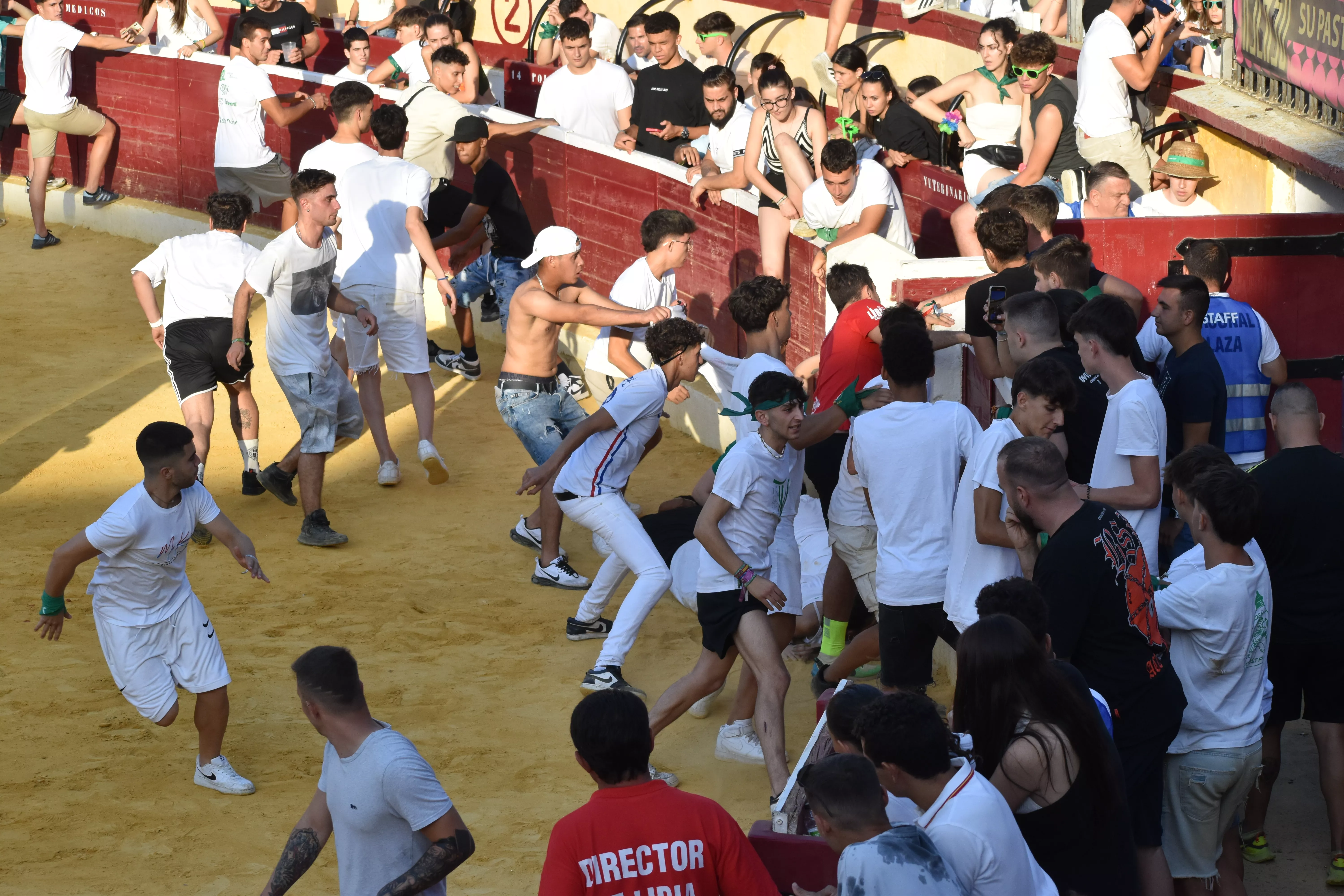 Vaquillas del día 13 de agosto. Foto Carlos Jalle