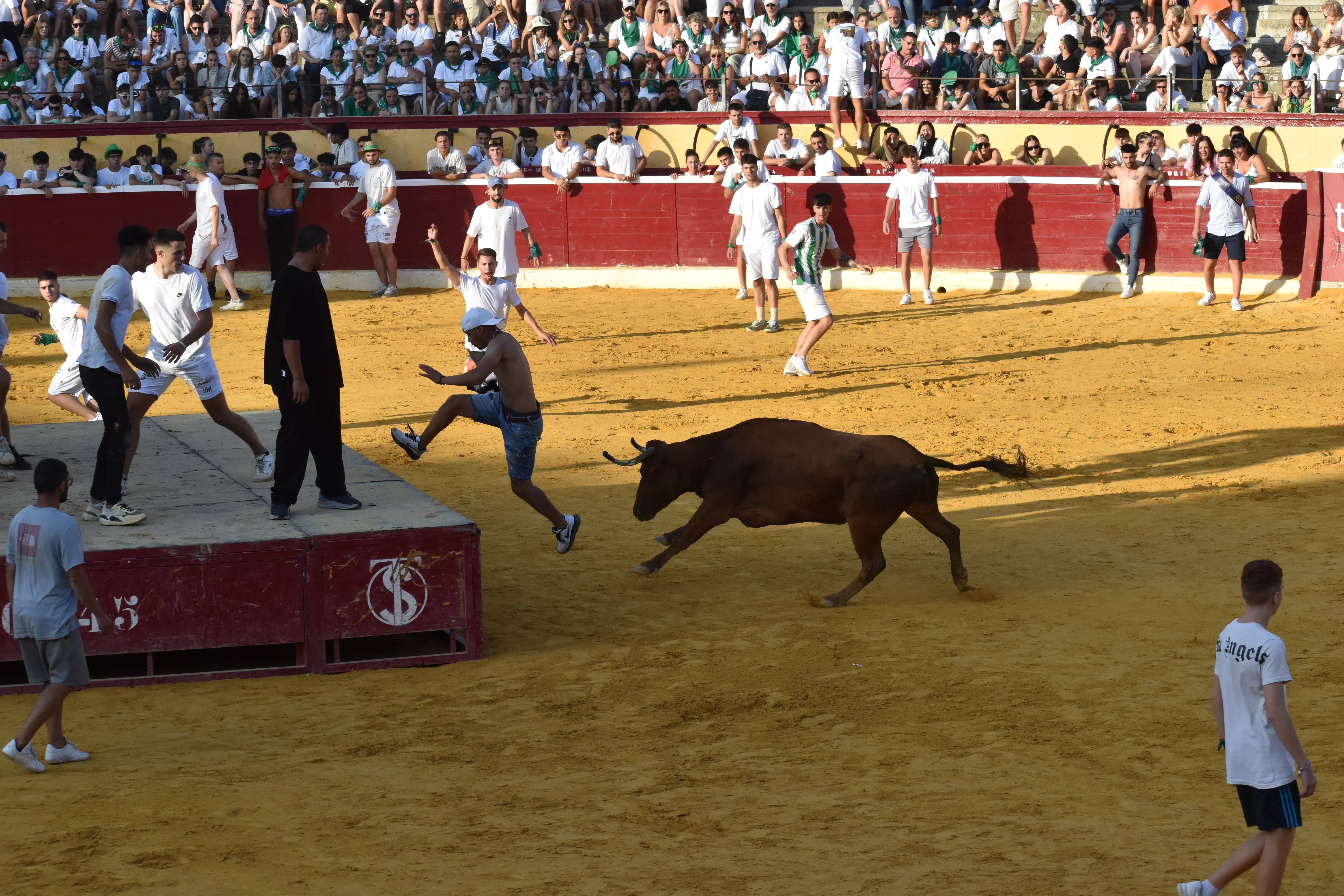 Vaquillas del día 13 de agosto. Foto Carlos Jalle
