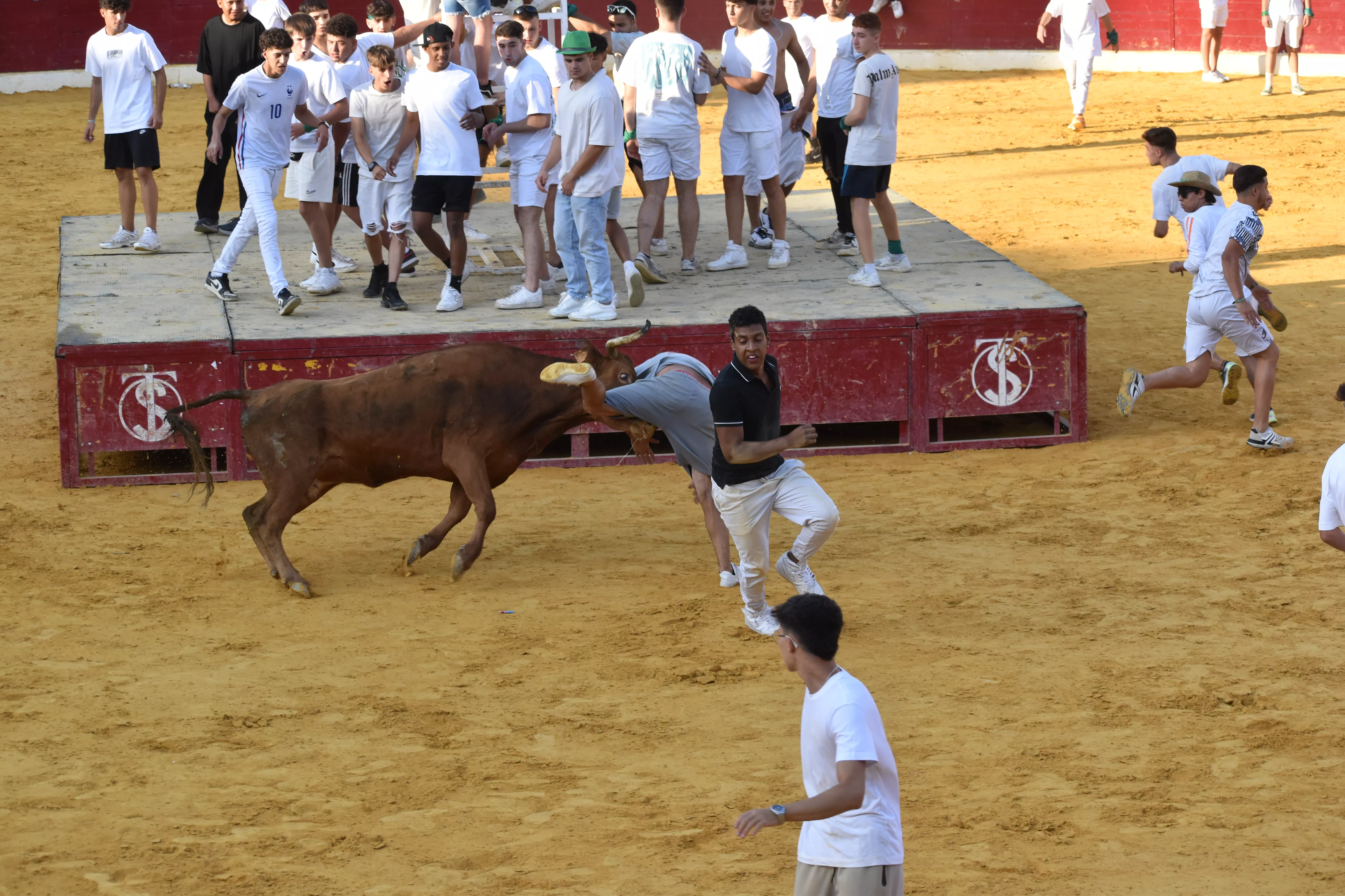Vaquillas del día 13 de agosto. Foto Carlos Jalle