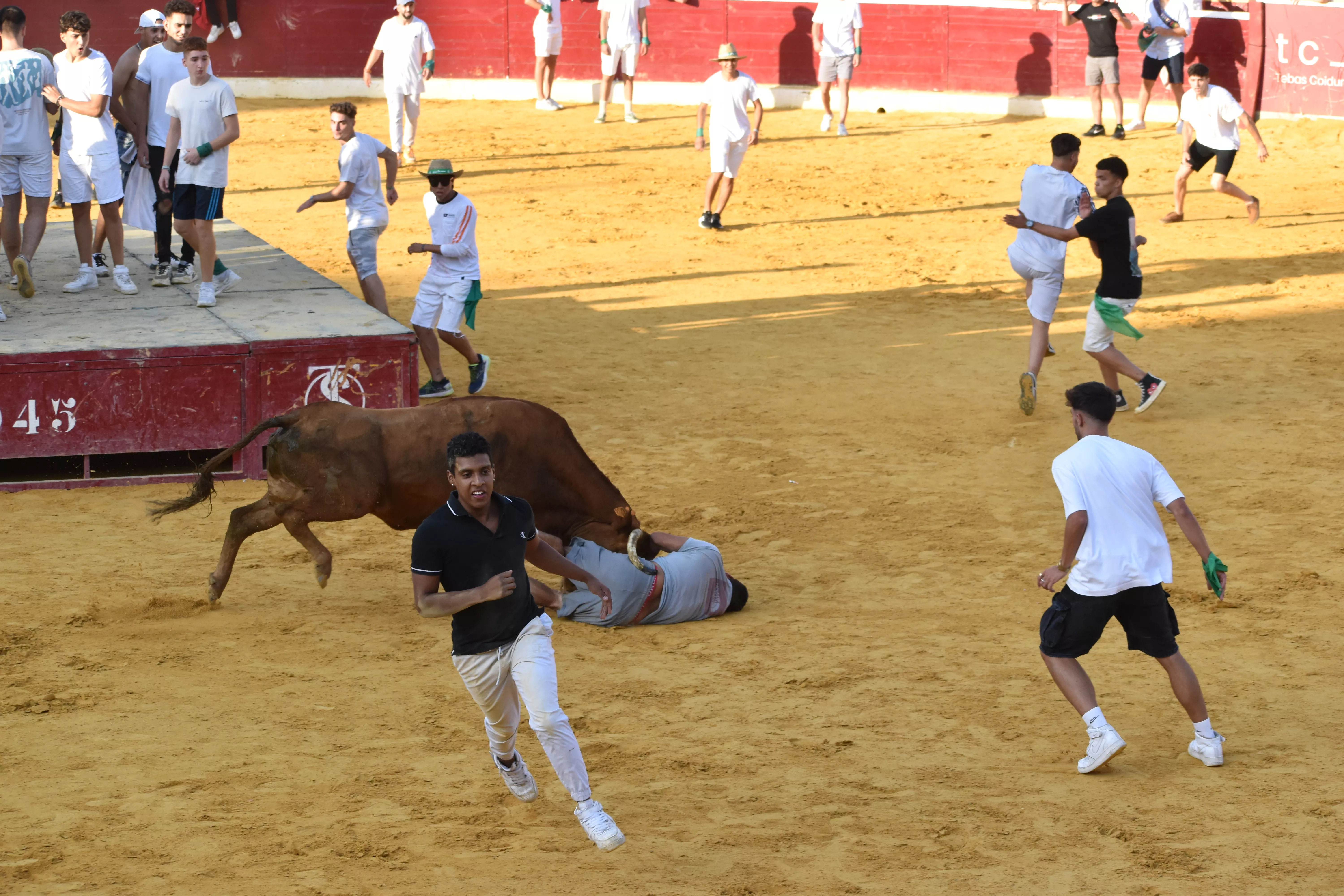 Vaquillas del día 13 de agosto. Foto Carlos Jalle