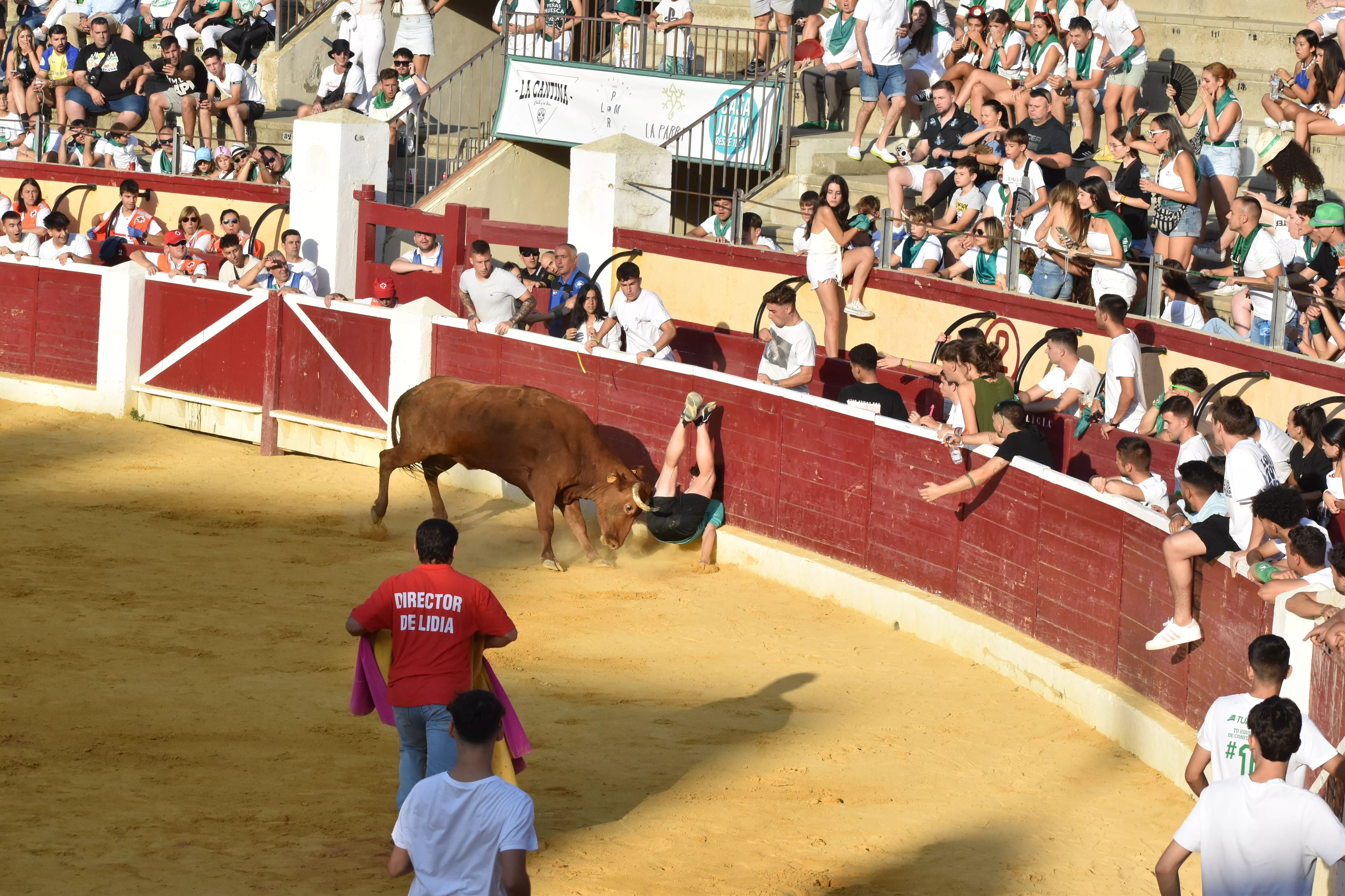 Vaquillas del día 13 de agosto. Foto Carlos Jalle
