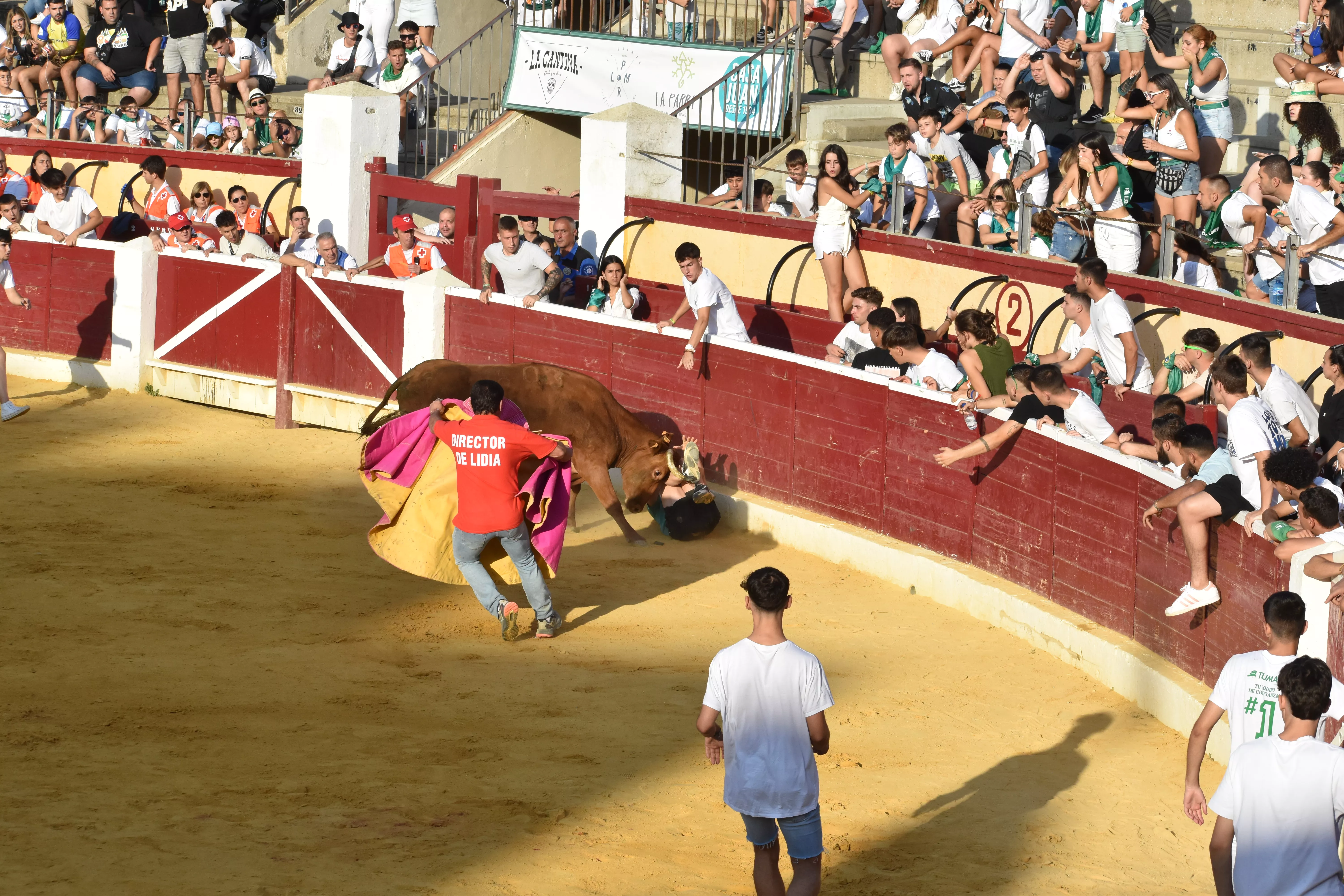 Vaquillas del día 13 de agosto. Foto Carlos Jalle