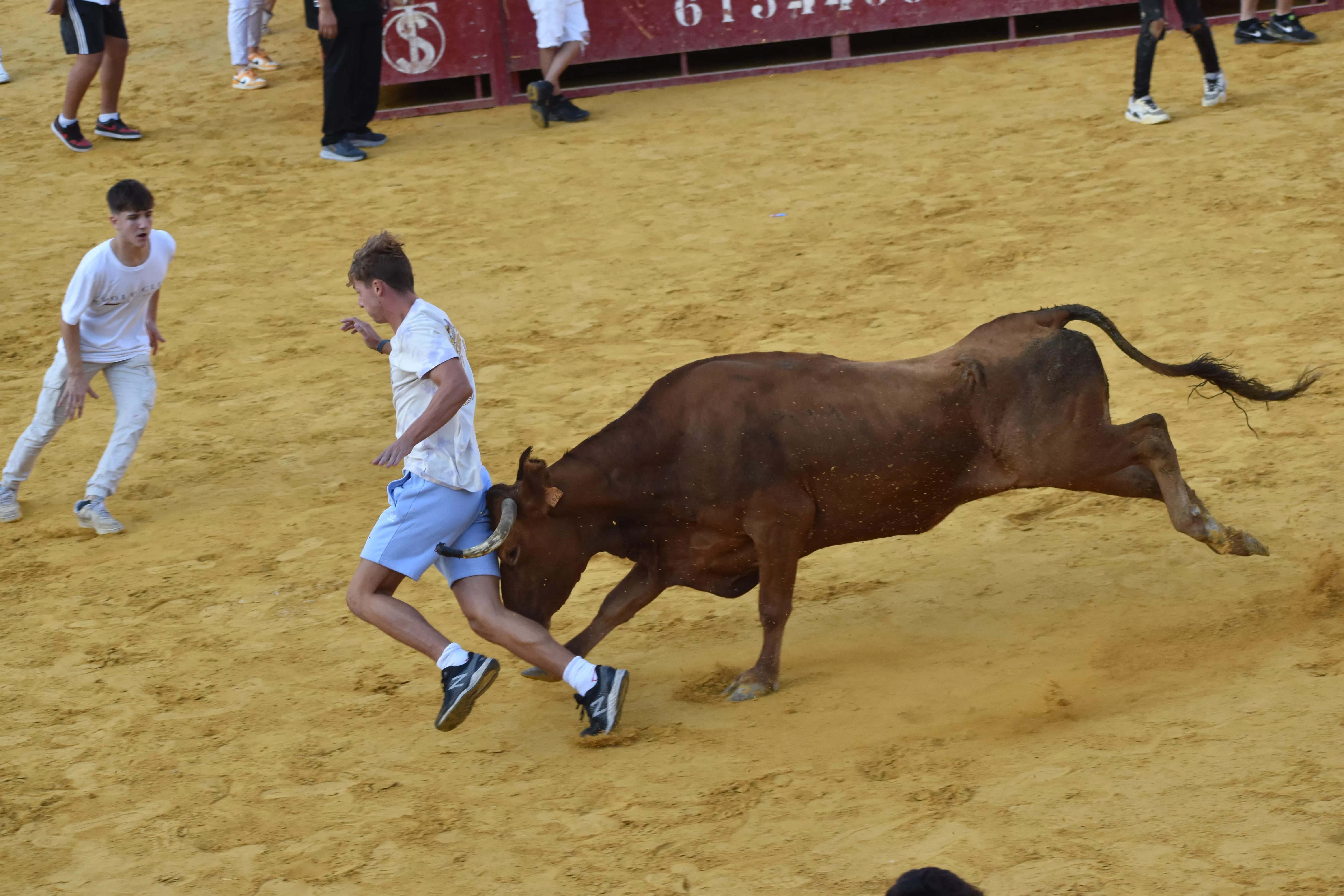 Vaquillas del día 13 de agosto. Foto Carlos Jalle