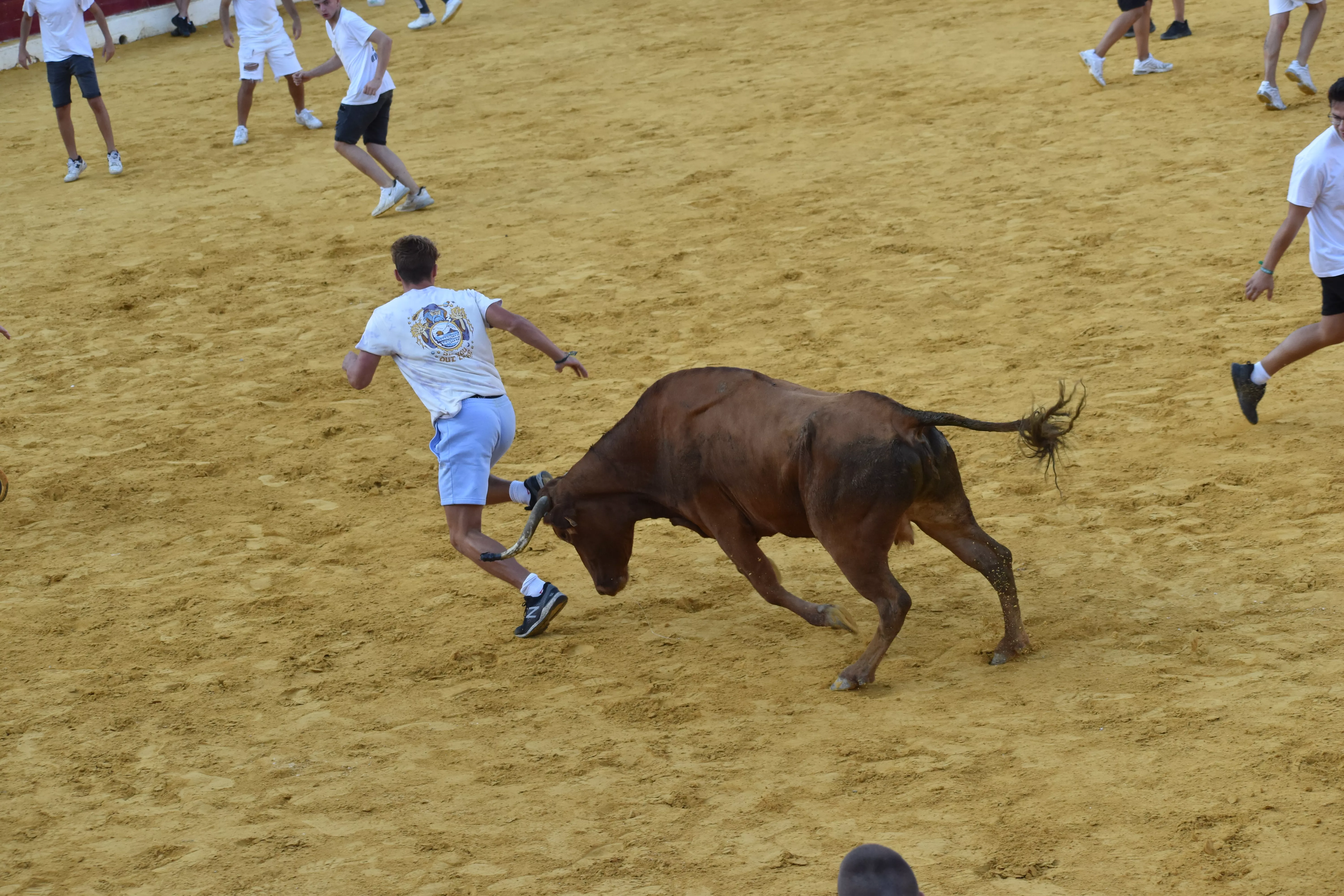 Vaquillas del día 13 de agosto. Foto Carlos Jalle