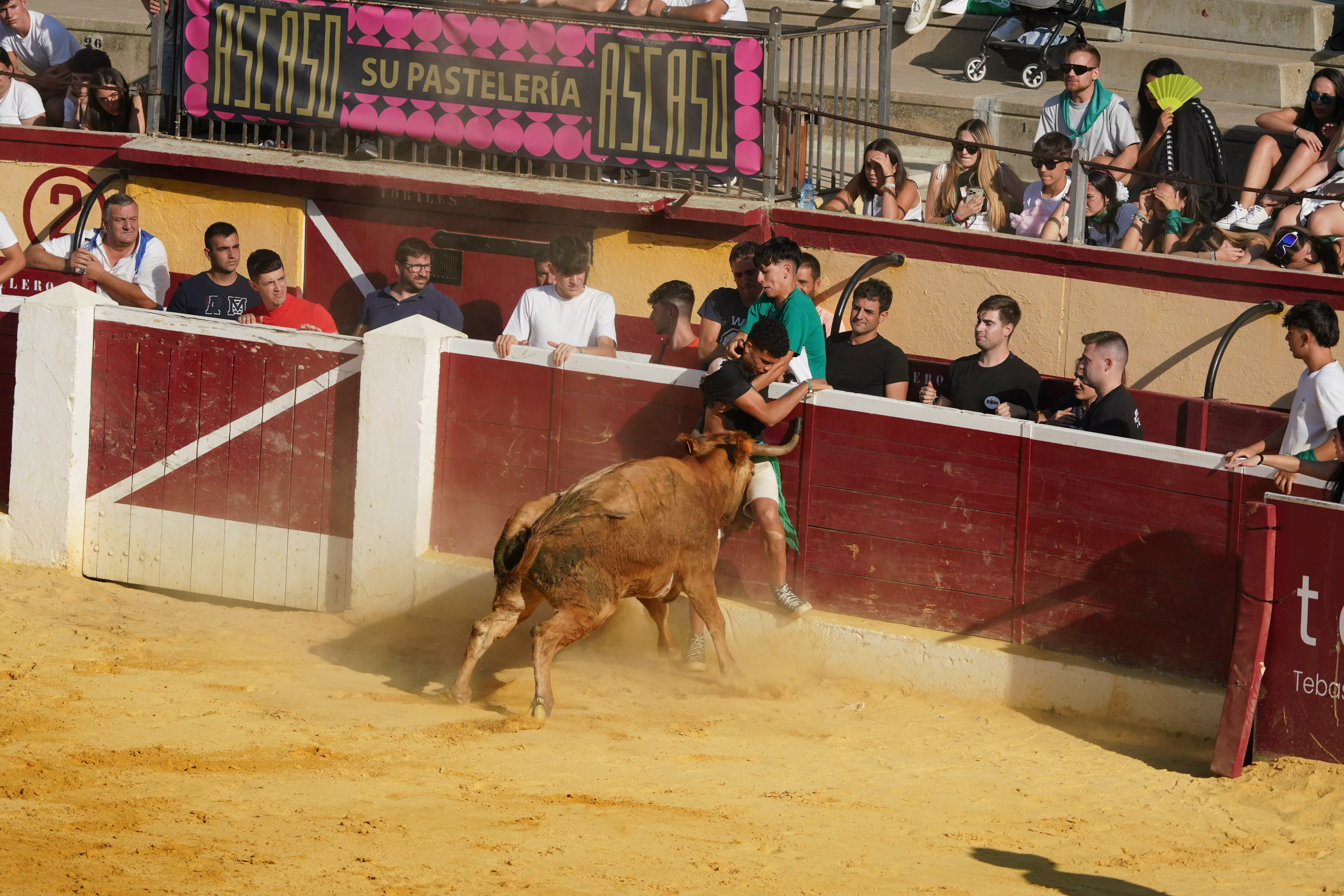 Vaquillas del día 13 de agosto. Foto José Antonio Terrón