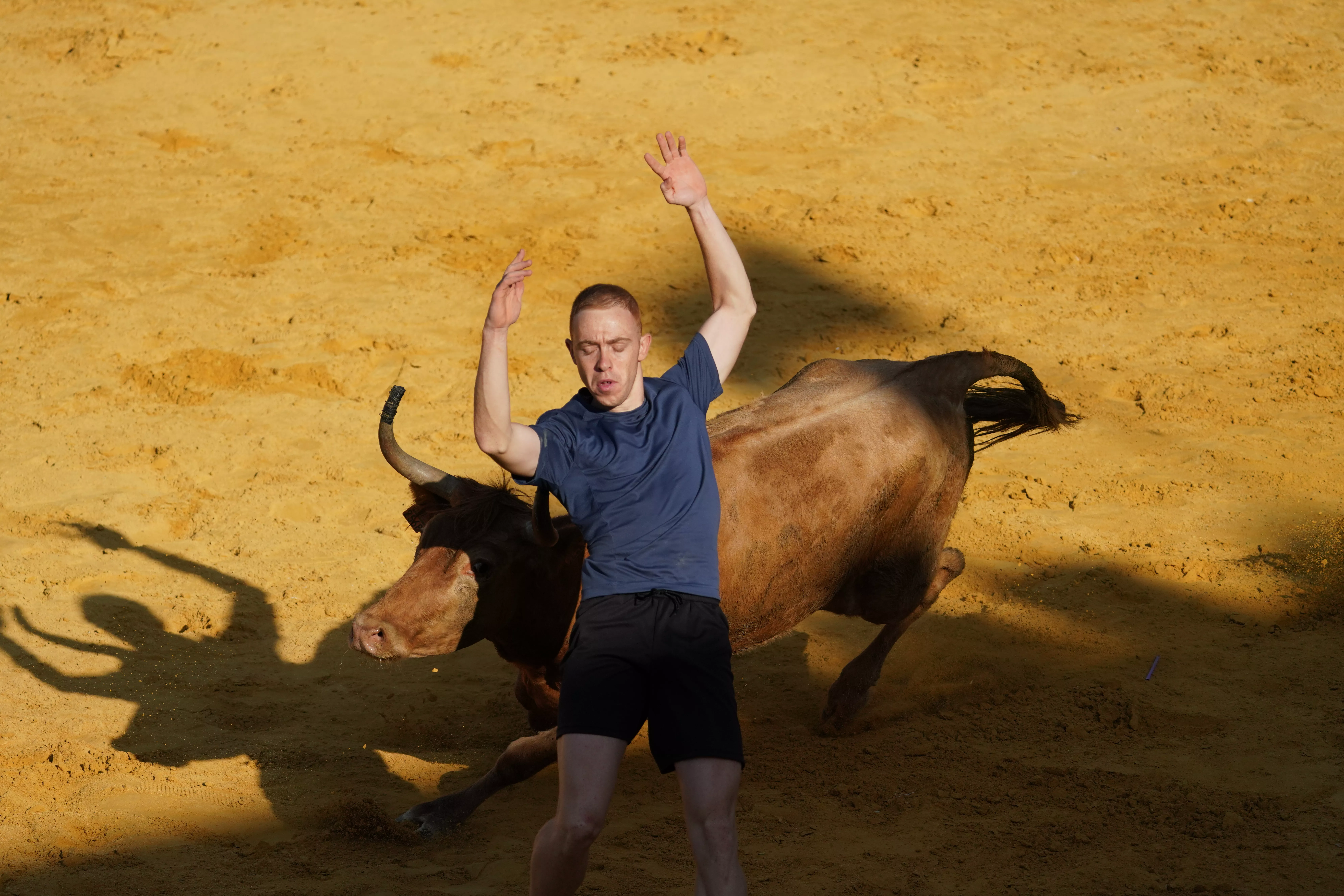 Vaquillas del día 13 de agosto. Foto José Antonio Terrón