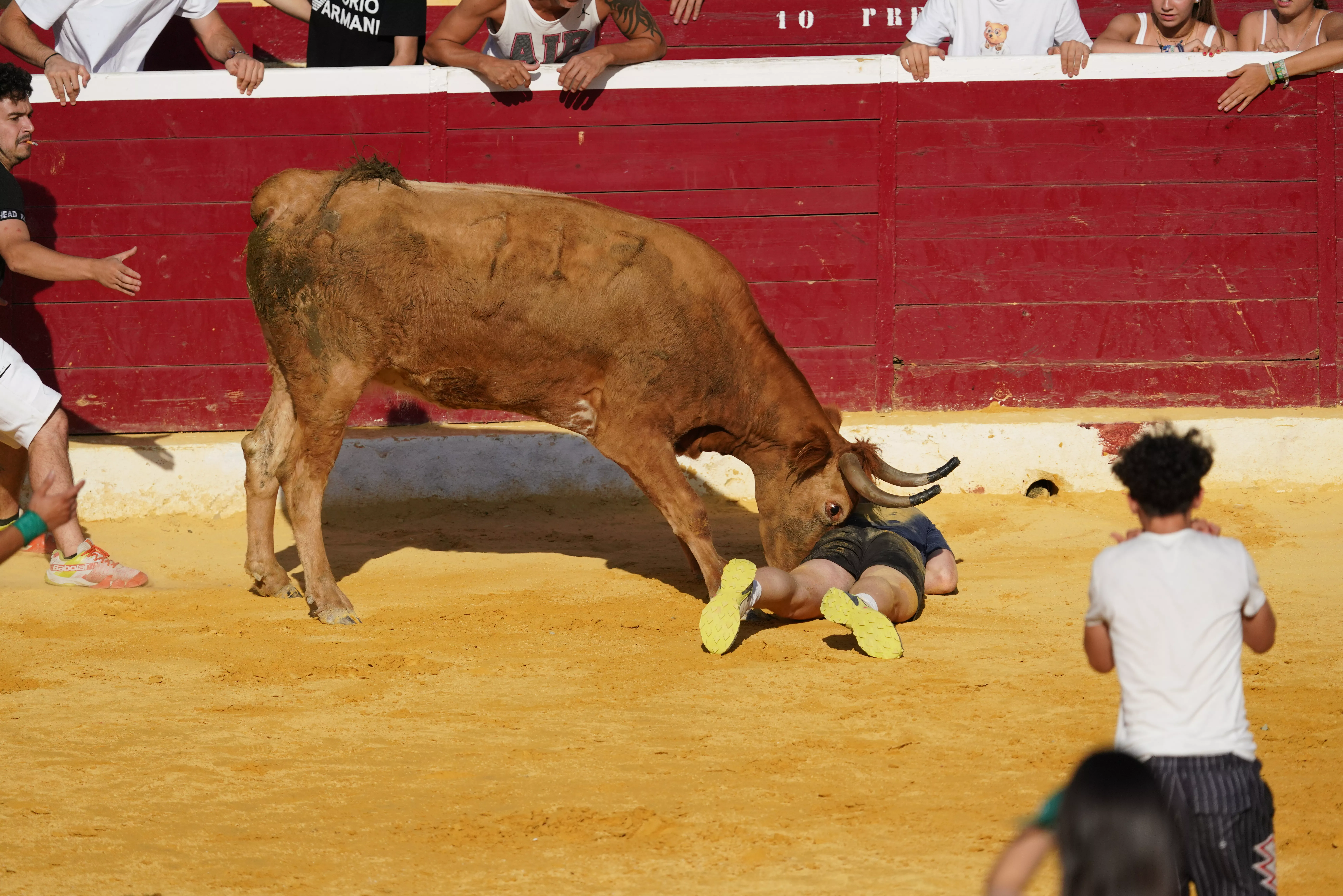 Vaquillas del día 13 de agosto. Foto José Antonio Terrón