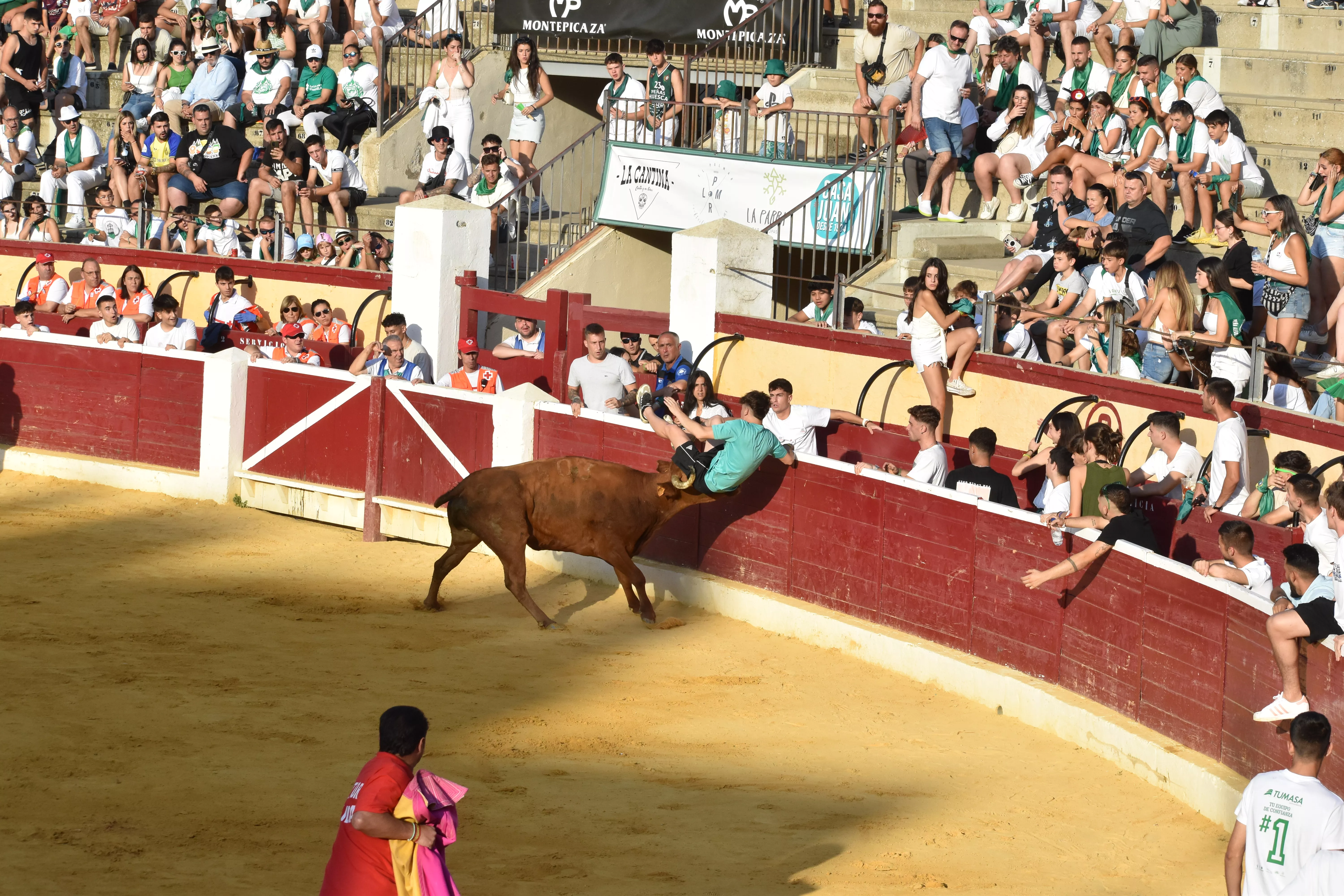 Vaquillas. Foto Carlos Jalle