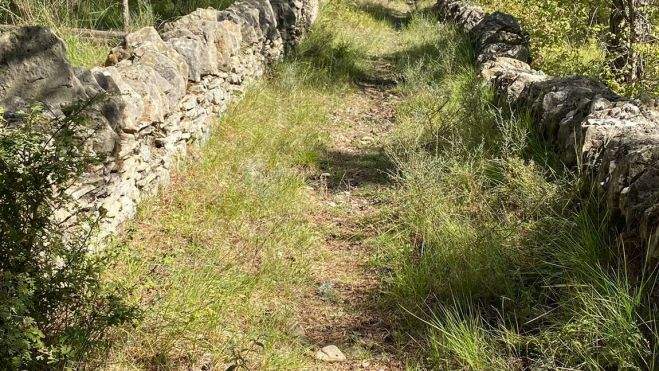 Camino en Secorún Camino en Secorún