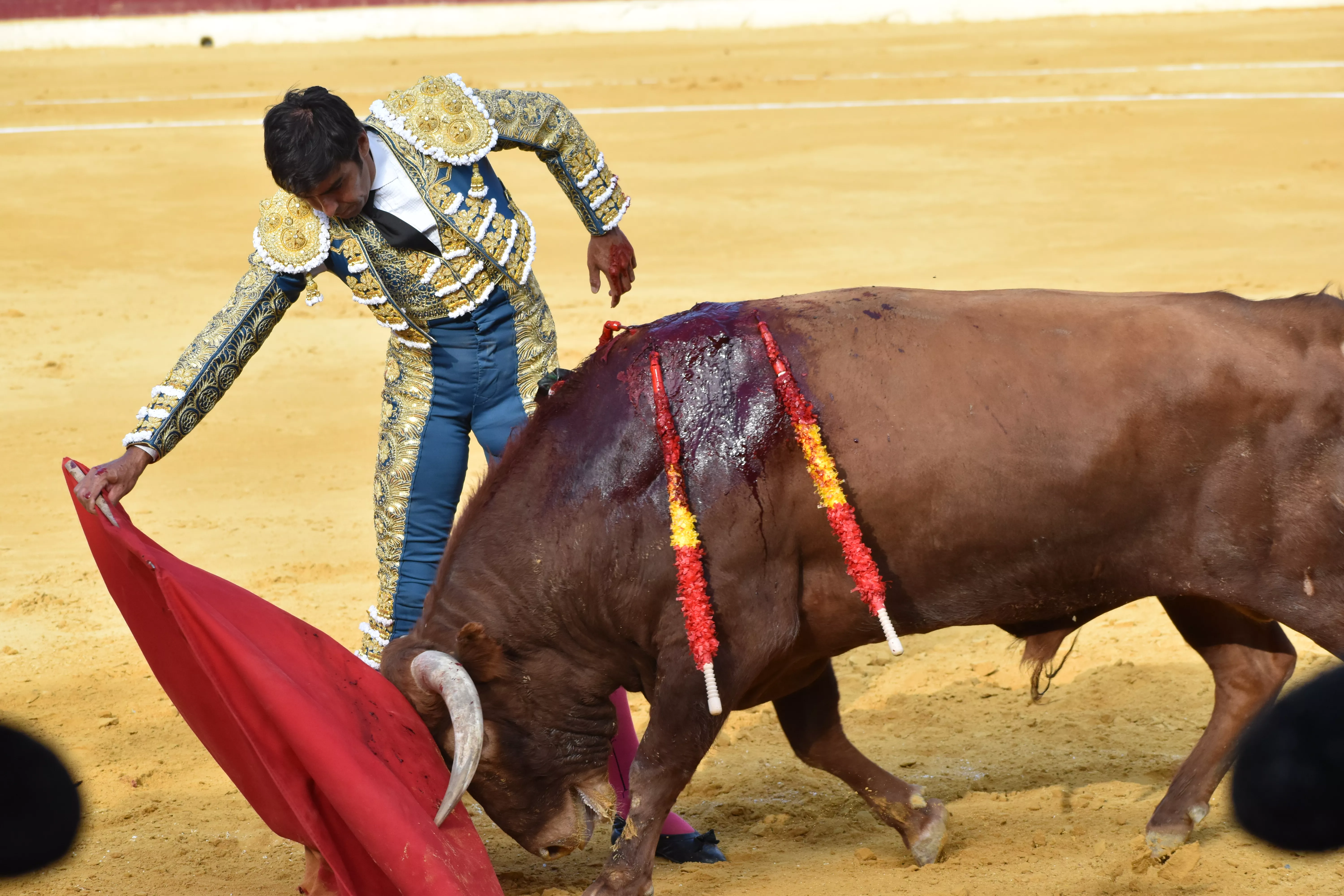 Cuarta corrida de abono de la Feria de La Albahaca de Huesca 2023. Foto: Carlos Jalle