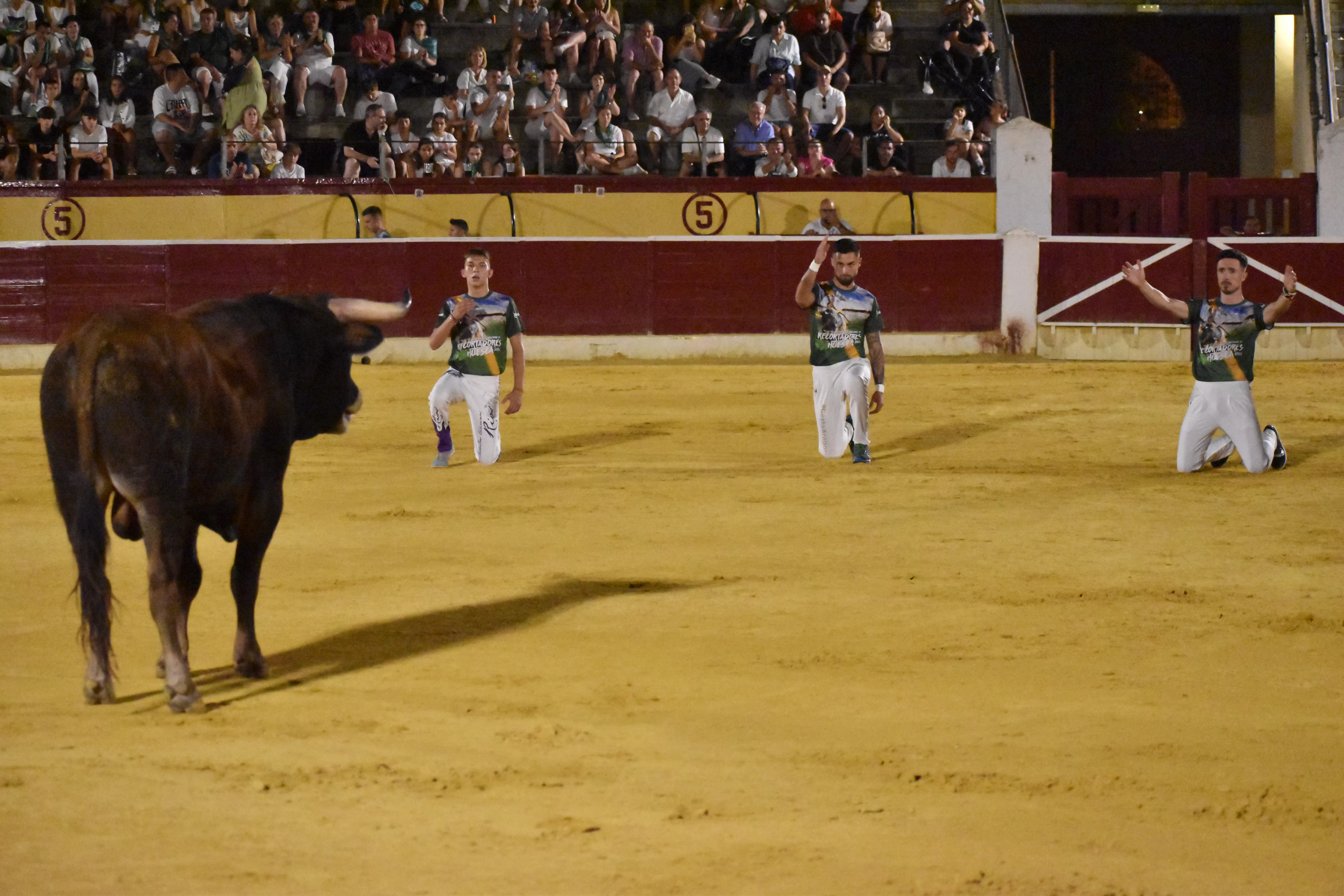 Concurso de Recortadores en Huesca