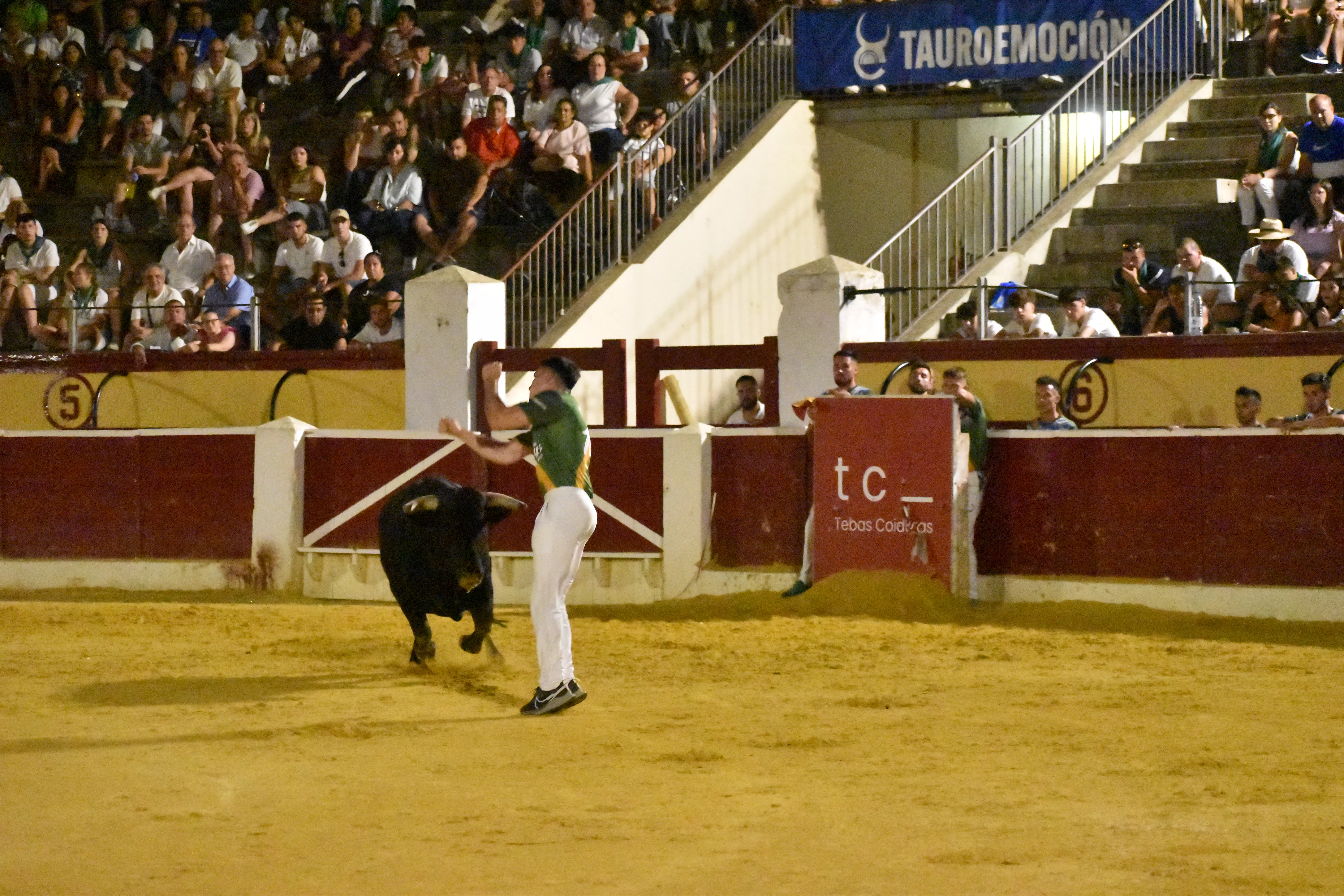 Concurso de Recortadores en Huesca
