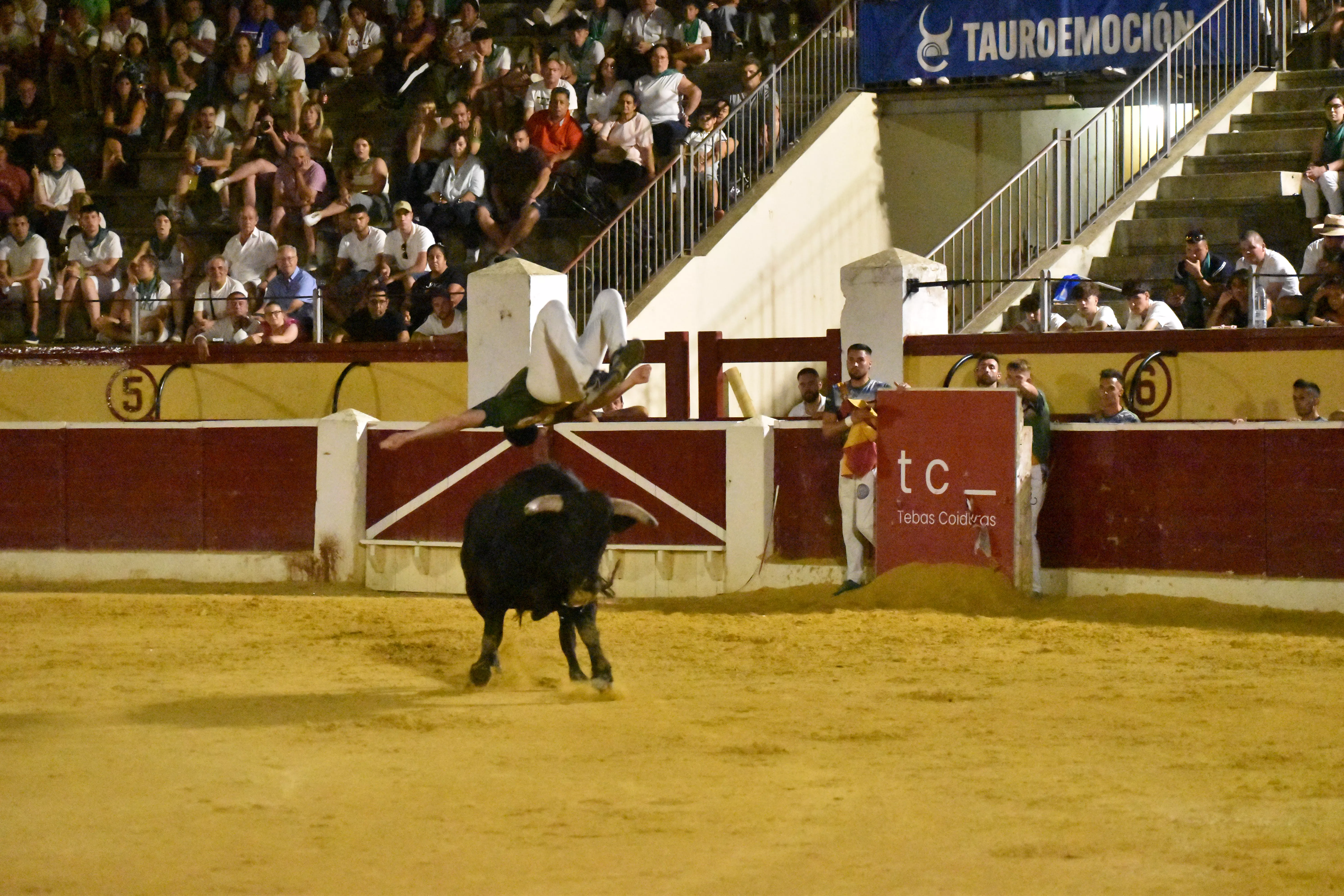 Concurso de Recortadores en Huesca