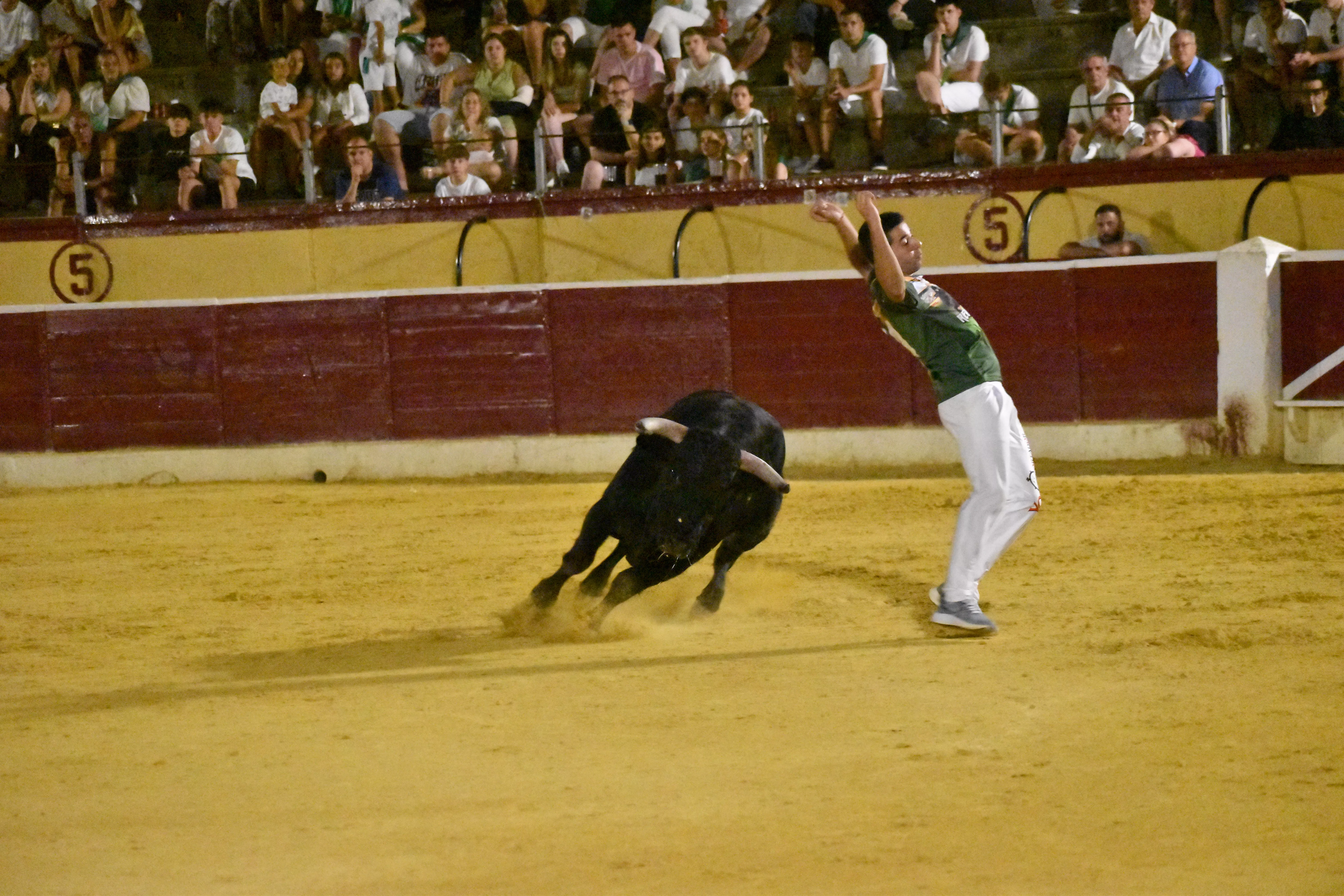 Concurso de Recortadores en Huesca