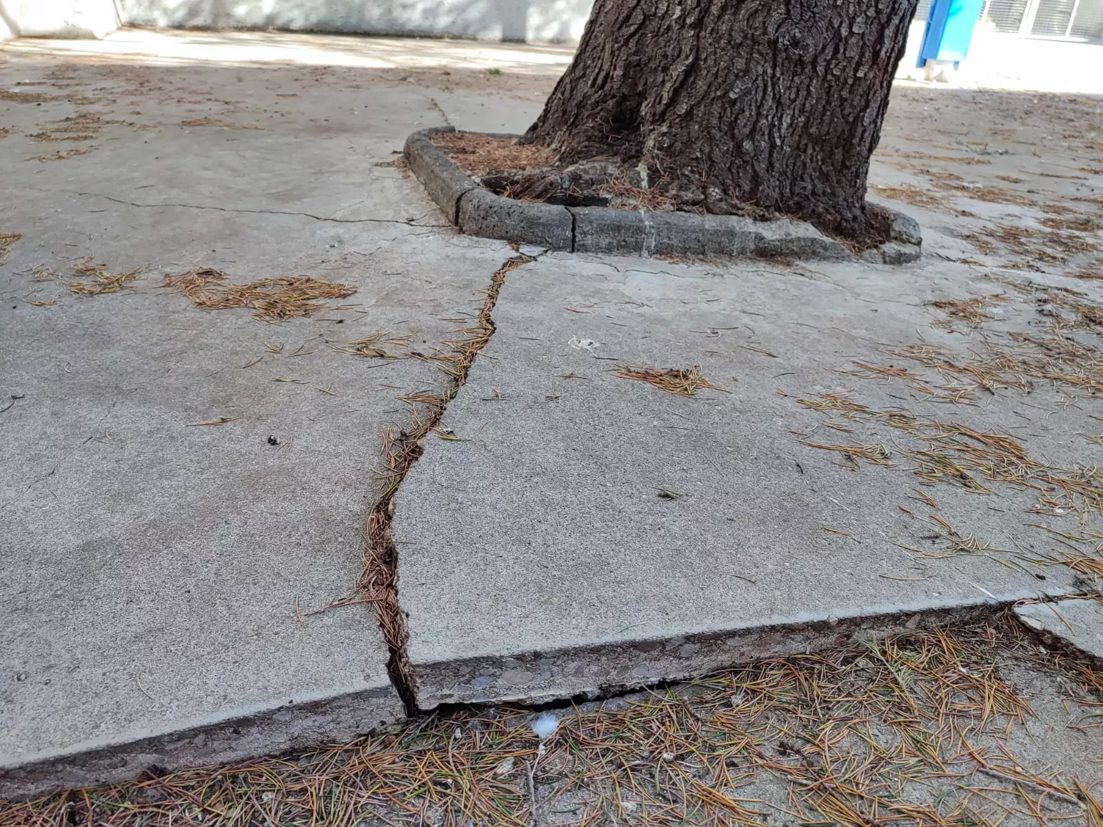 Daños en el IES Ramón y Cajal de Huesca