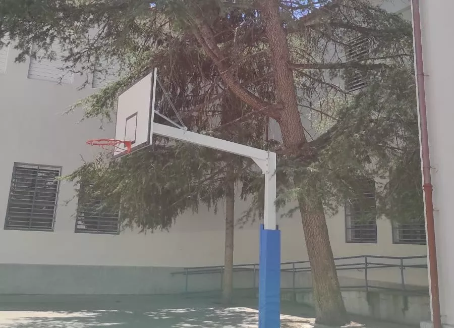 Árbol en riesgo de caída junto a una canasta de baloncesto