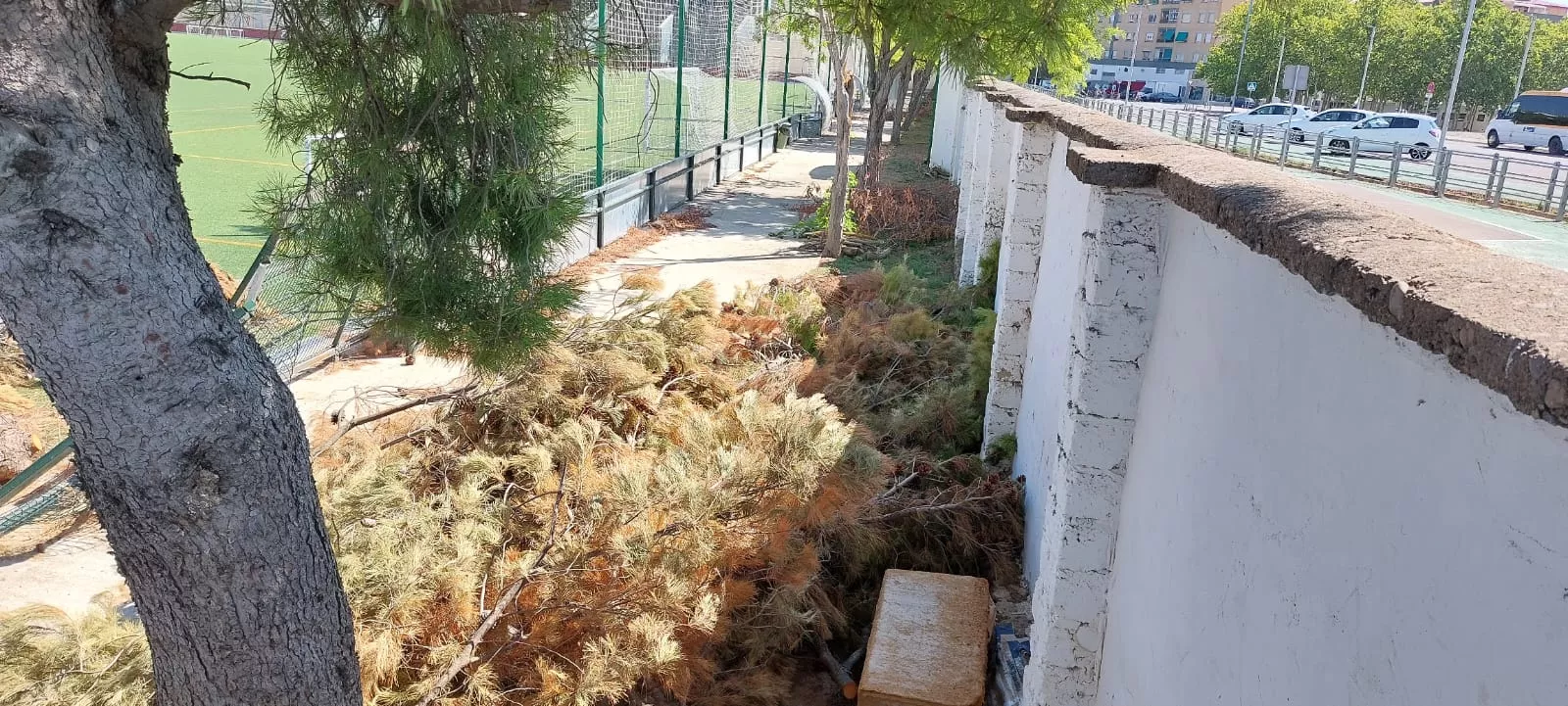 Daños en los campos de San Jorge